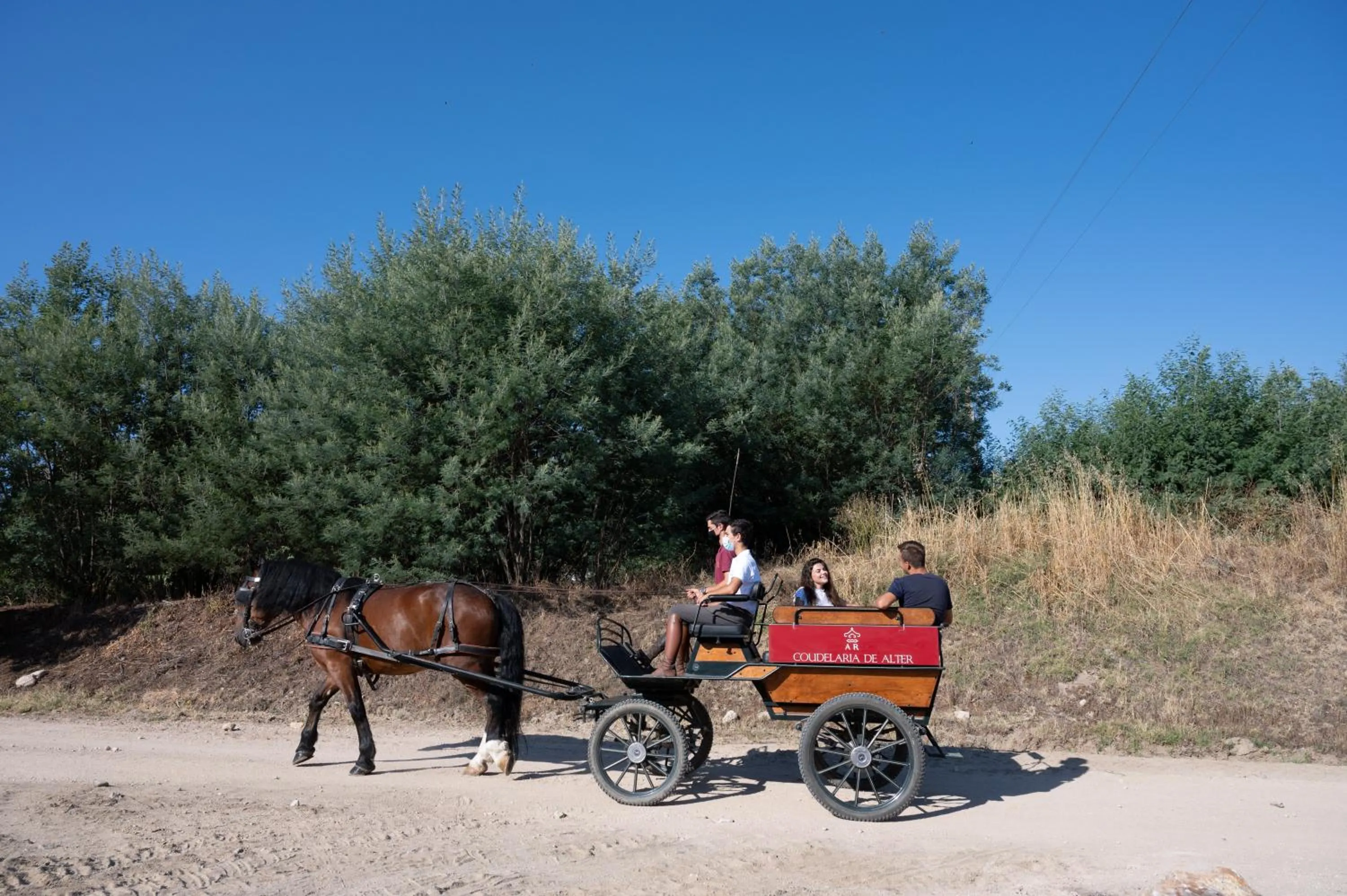 Activities in Vila Gale Collection Alter Real - Resort Equestre, Conference & Spa