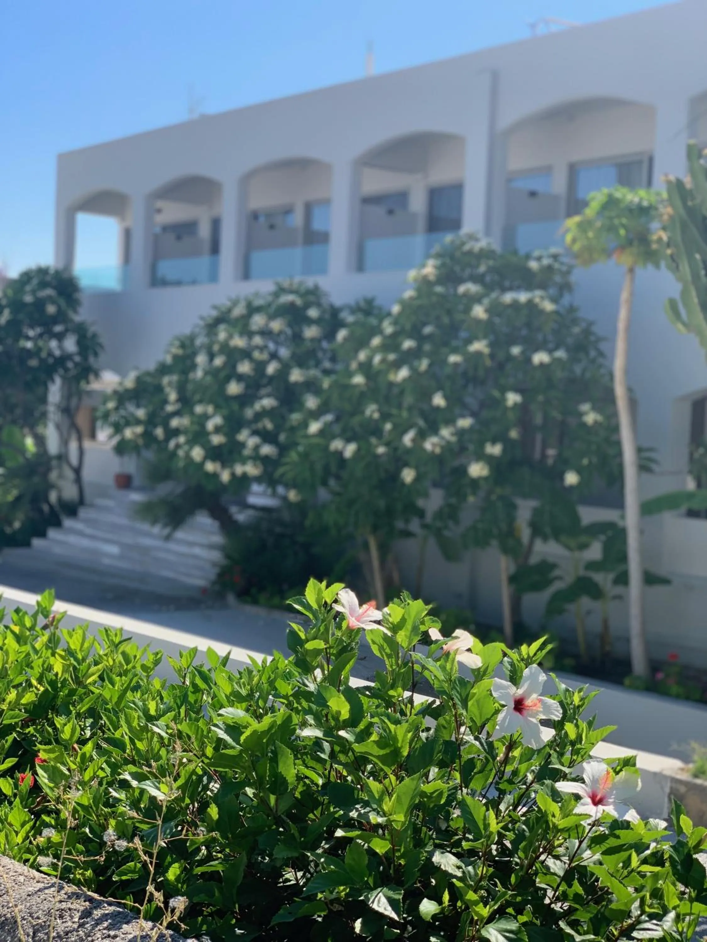 Facade/entrance in Pals Studios Pefkos