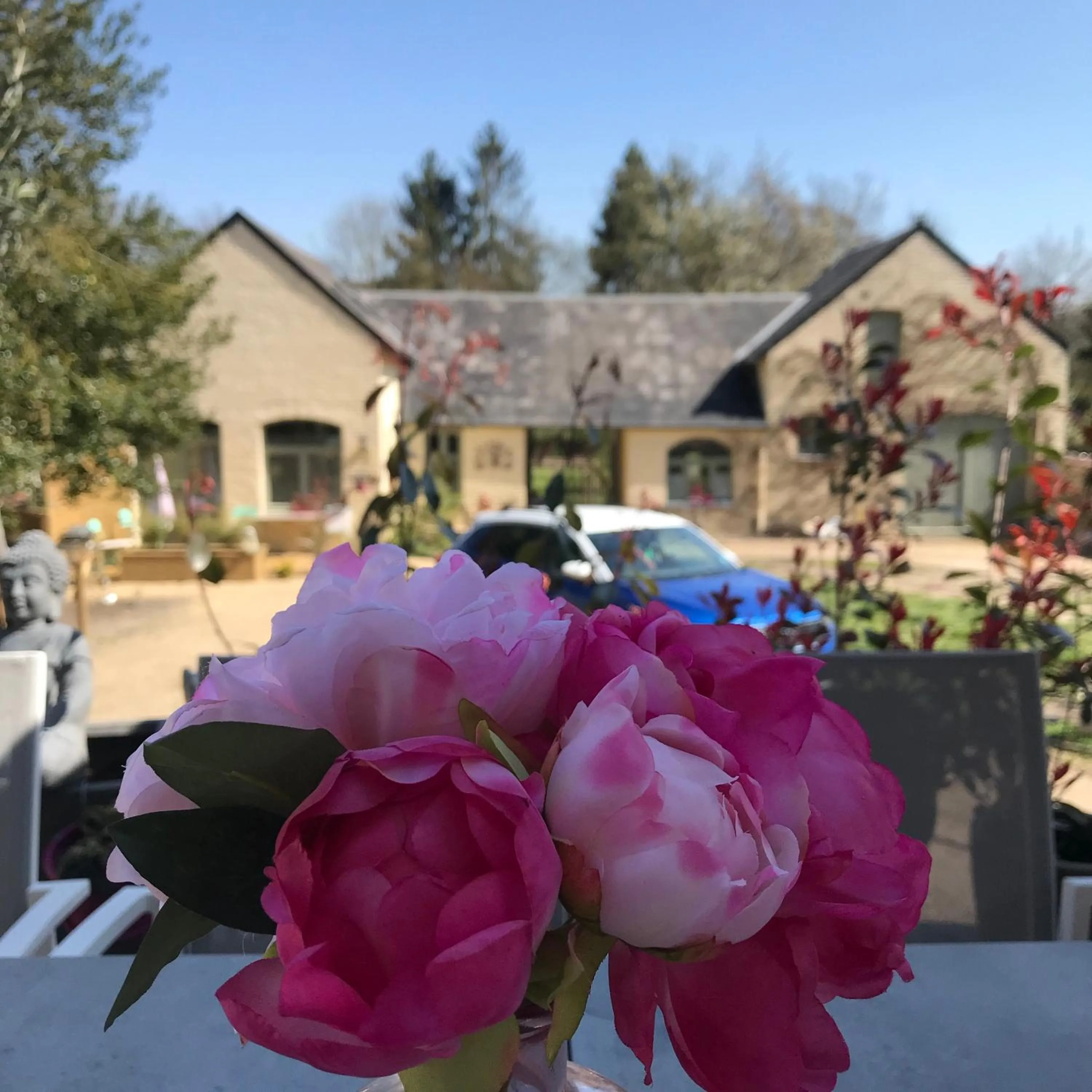 Garden in Le Jardin Des Secrets "Gites et chambres à louer"