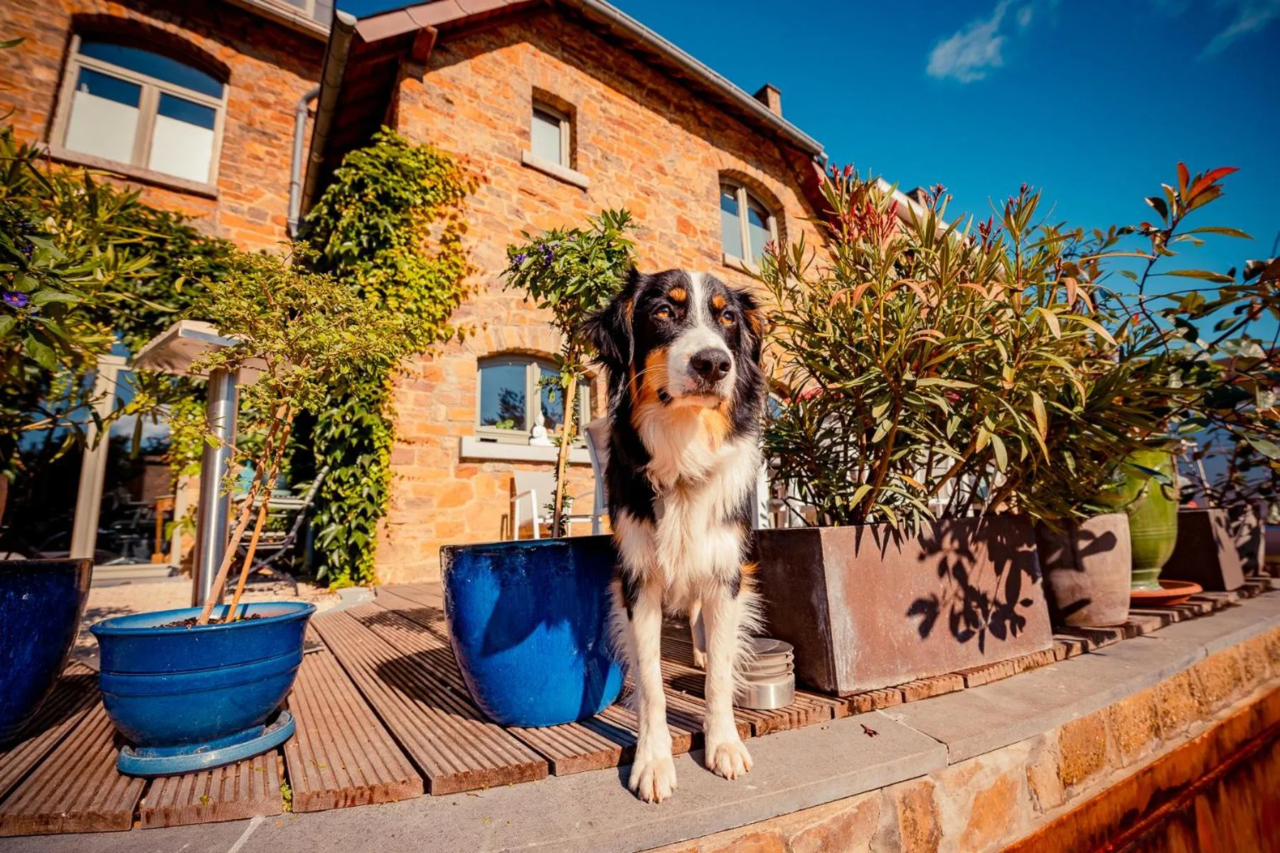 Le Jardin Des Secrets "Gites et chambres à louer"
