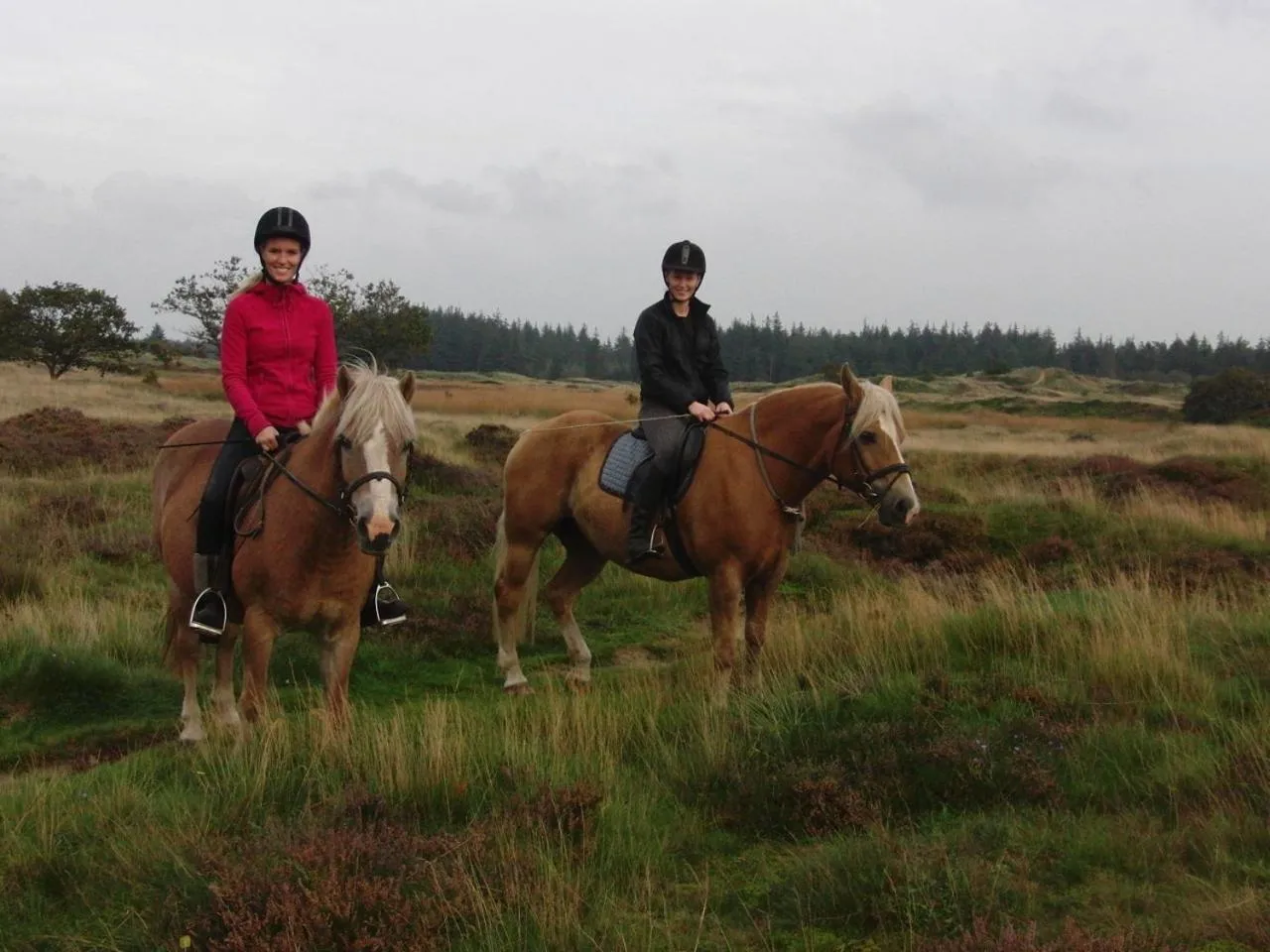 Activities in Reiterhof Wollesen