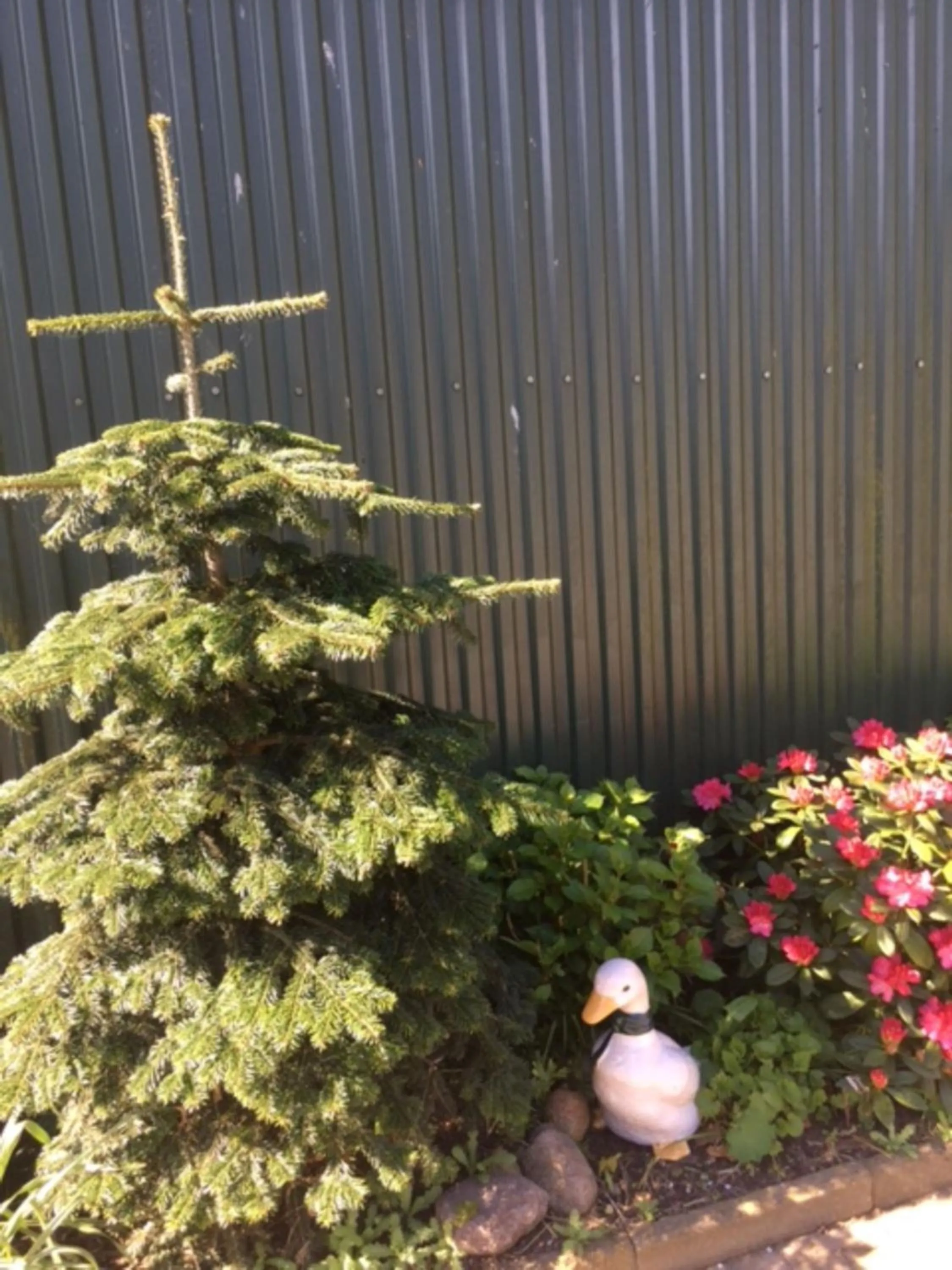 Inner courtyard view in Reiterhof Wollesen