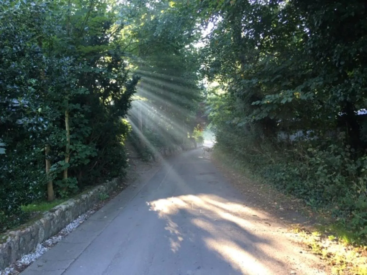 View (from property/room) in Reiterhof Wollesen