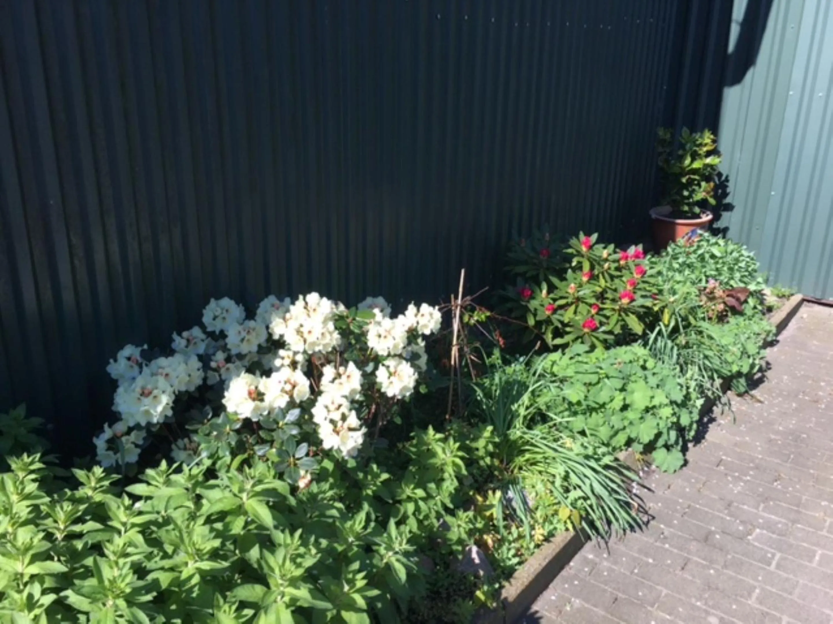 Garden in Reiterhof Wollesen