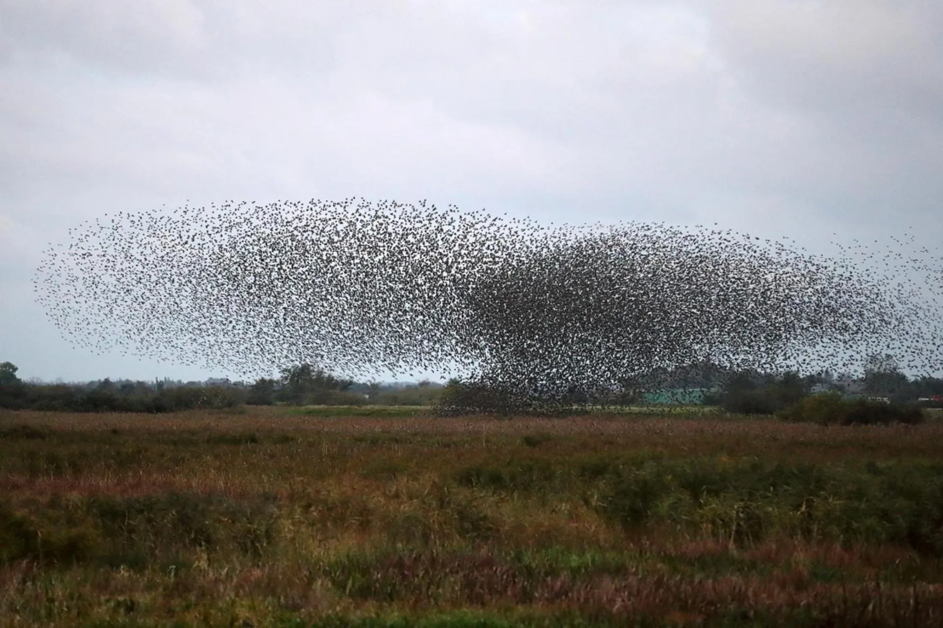 Natural landscape in Reiterhof Wollesen