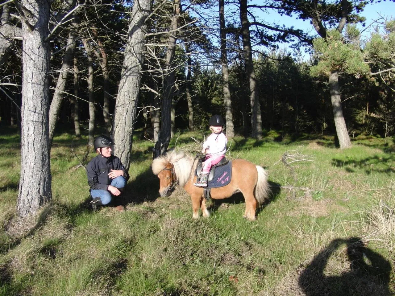 Animals in Reiterhof Wollesen