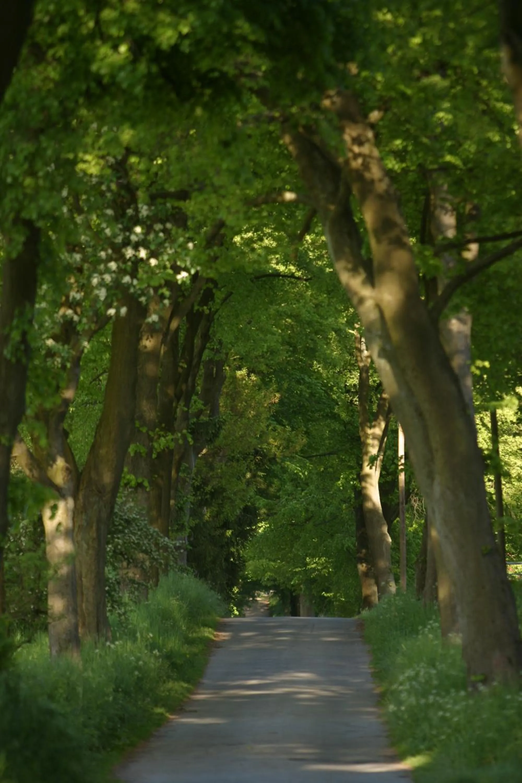 Facade/entrance in Hotel Waldhof auf Herrenland