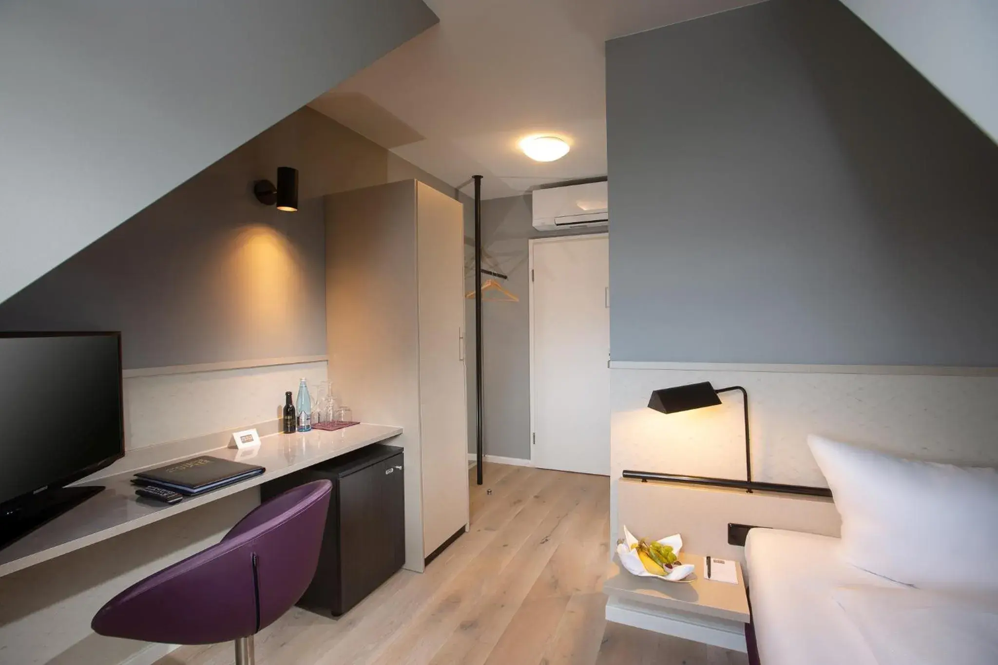 Economy Single Room in Schloss Reinach Economy Single Room in Schloss Reinach