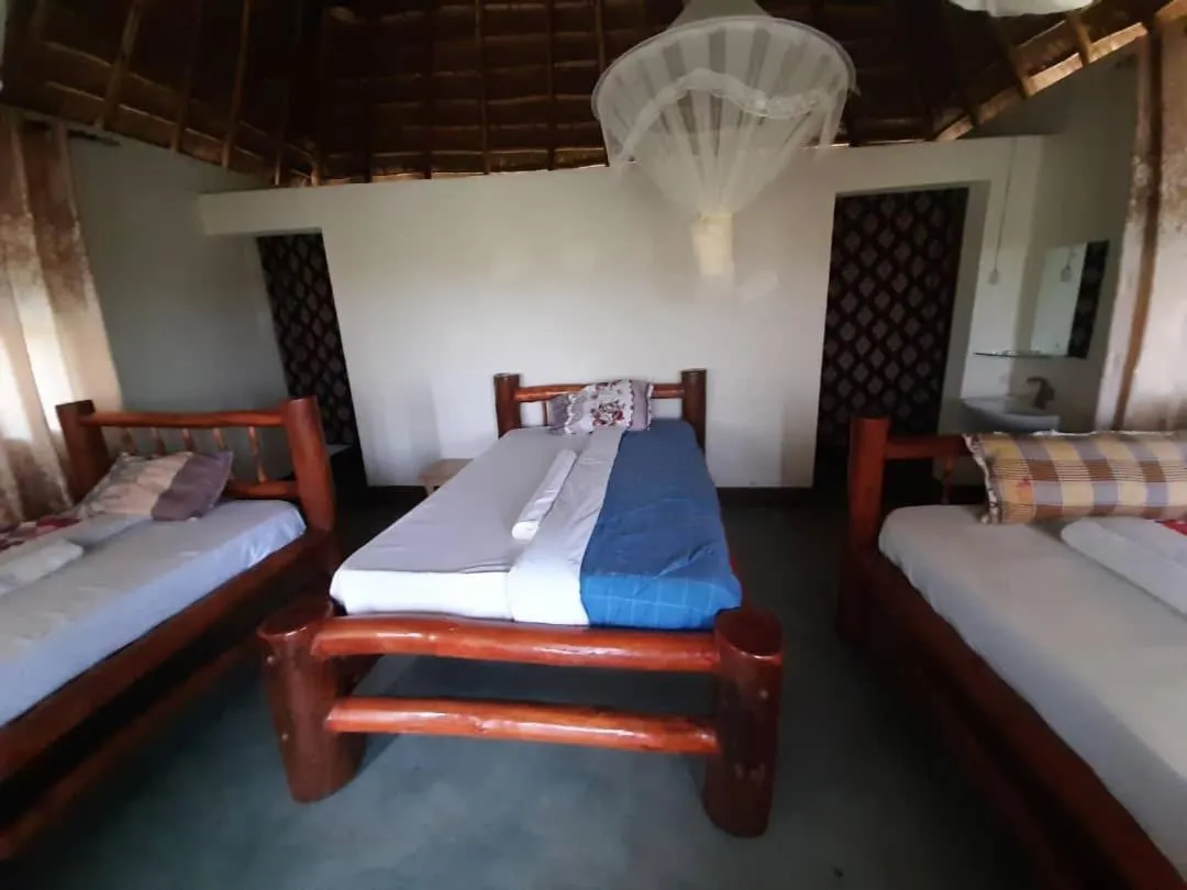 Photo of the whole room, Bed in Tangi Safari Lodge