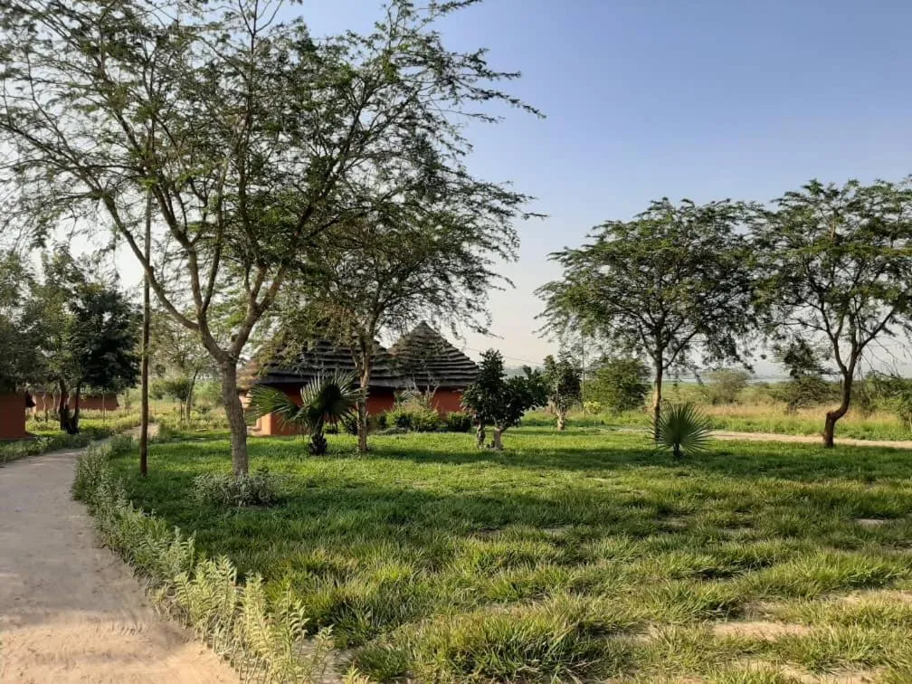 Natural landscape in Tangi Safari Lodge