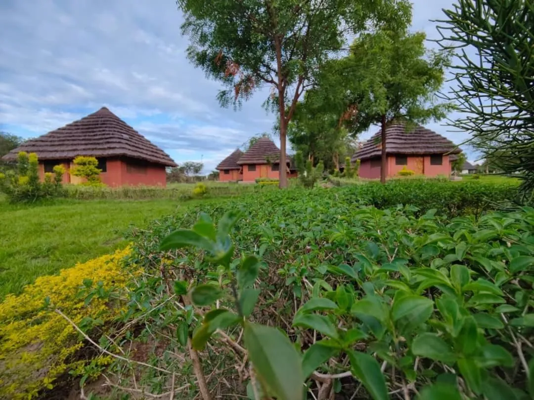 Property building in Tangi Safari Lodge