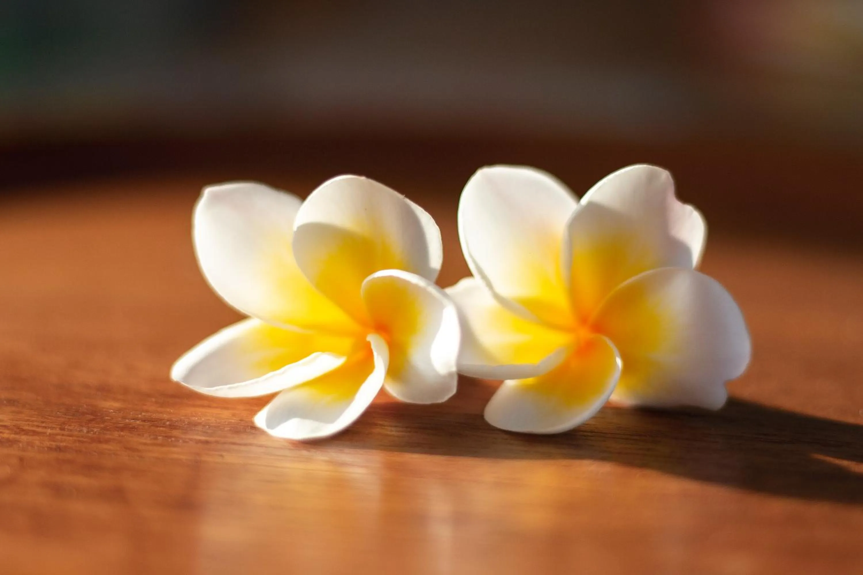 Decorative detail in Hi Blue Bali Melasti Dive Resort