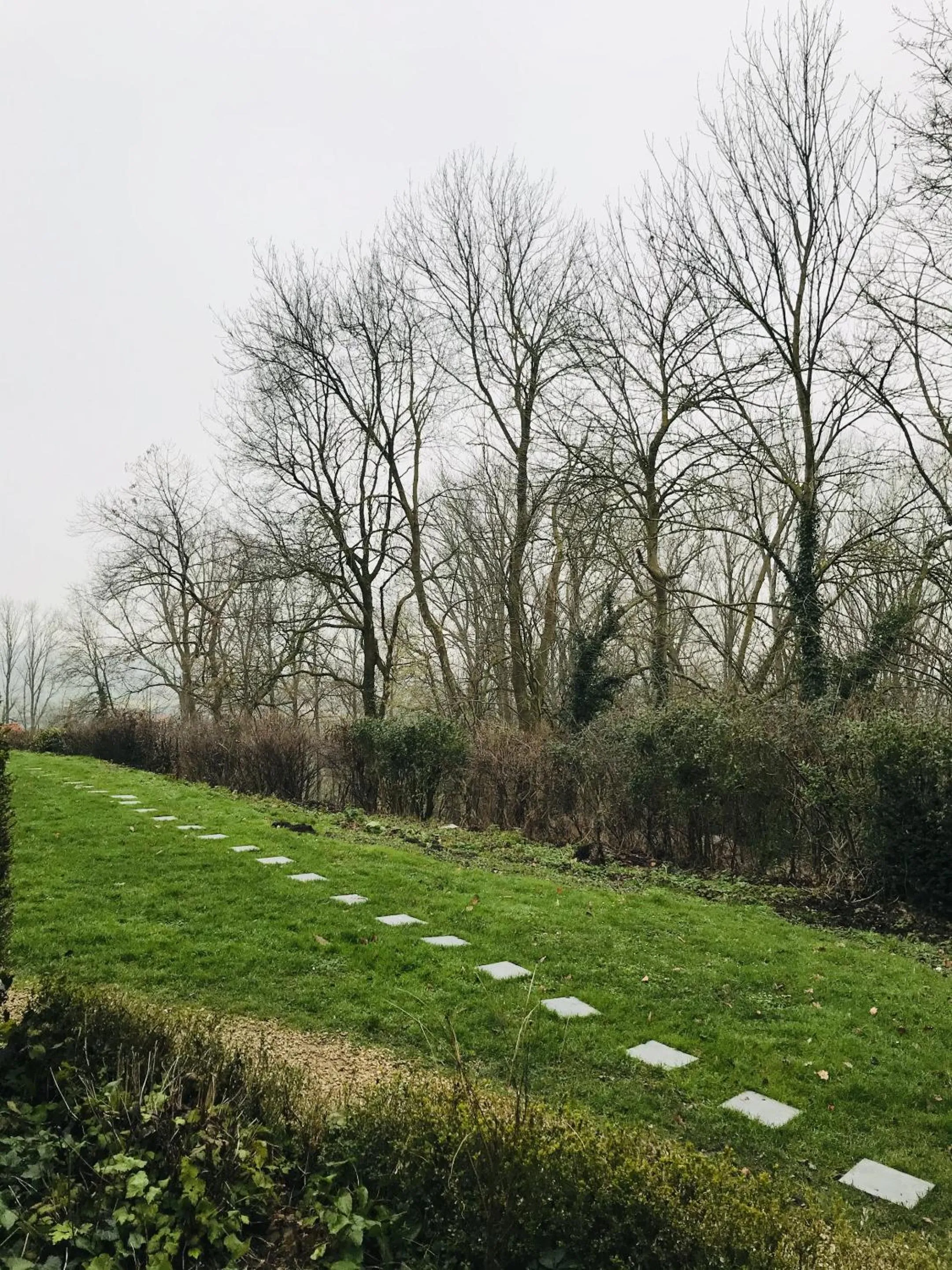 Garden in Panacée Guesthouses