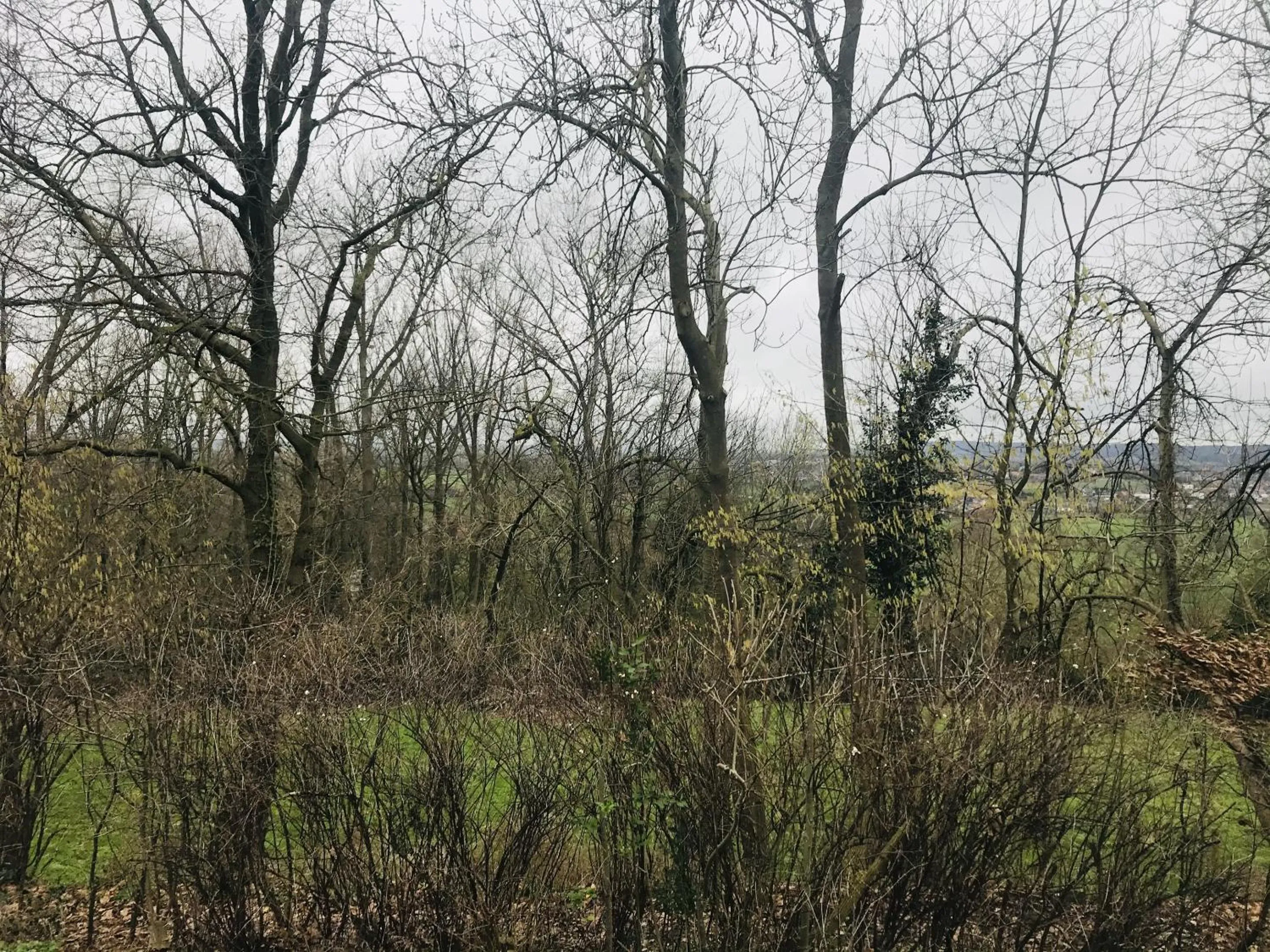 Natural landscape in Panacée Guesthouses