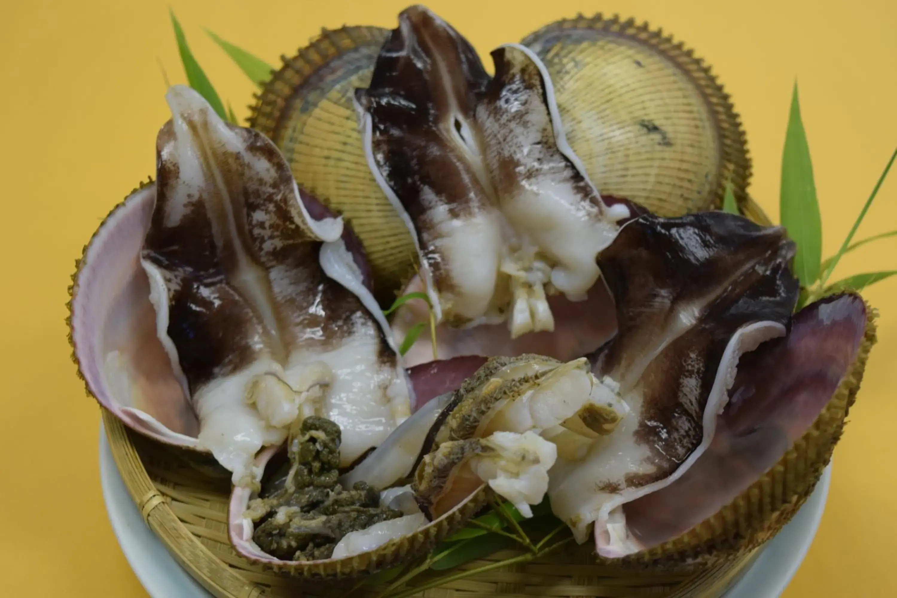 The Gran Resort Amanohashidate The Gran Resort Amanohashidate