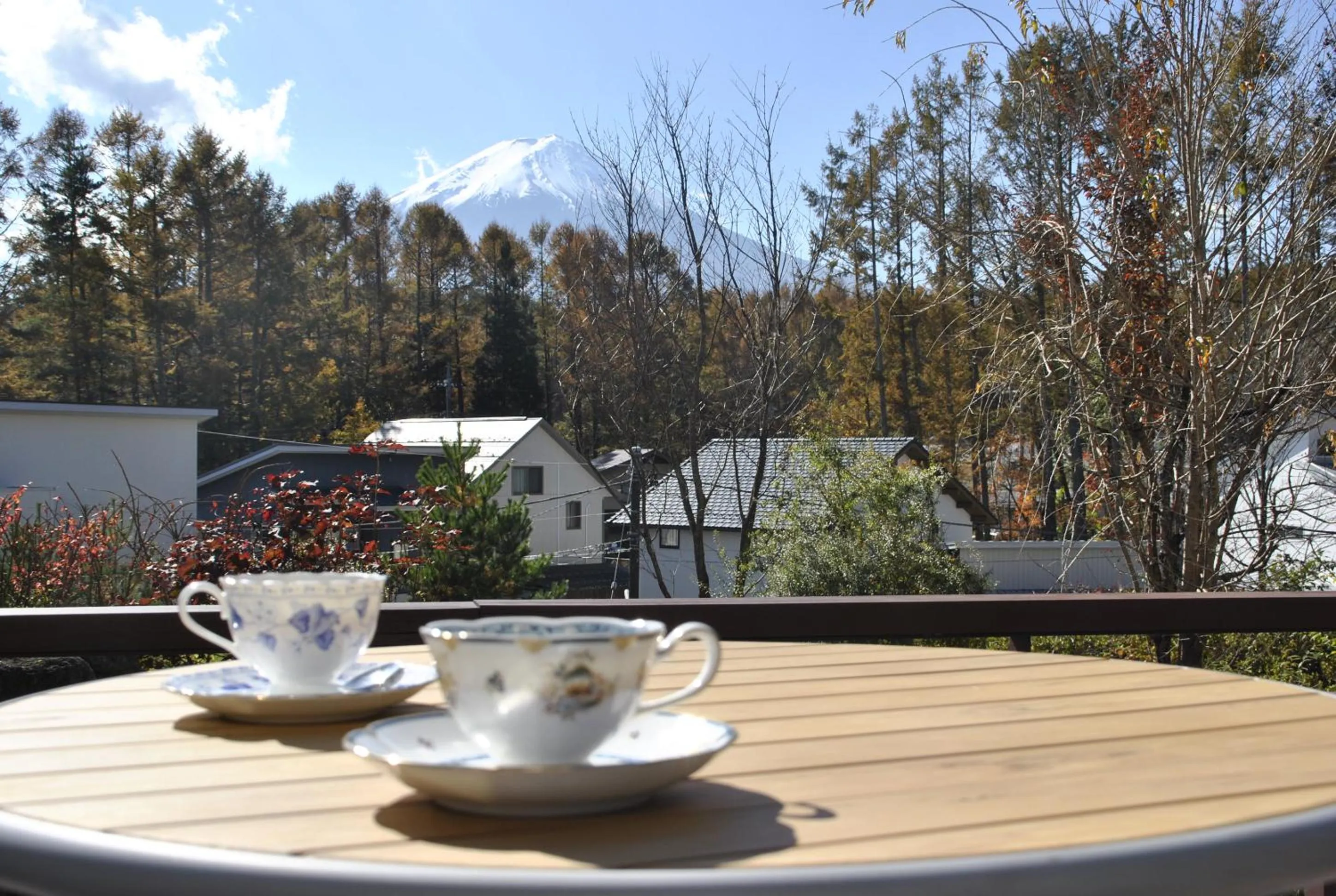 View (from property/room) in The Gran Resort Princess Fujikawaguchiko