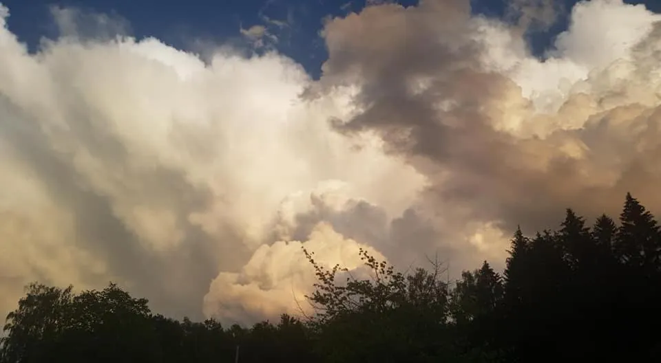 Pokoje Gościnne Art- Dworek