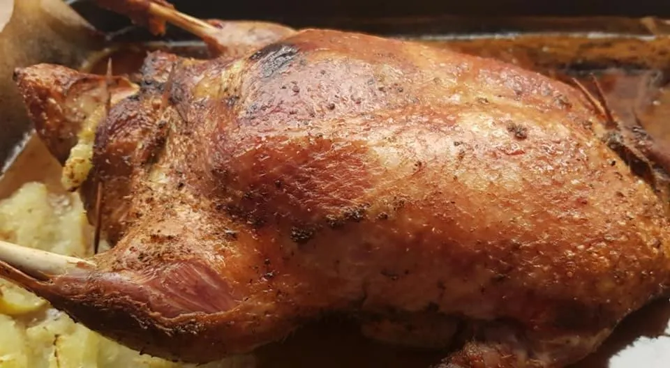 Pokoje Gościnne Art- Dworek