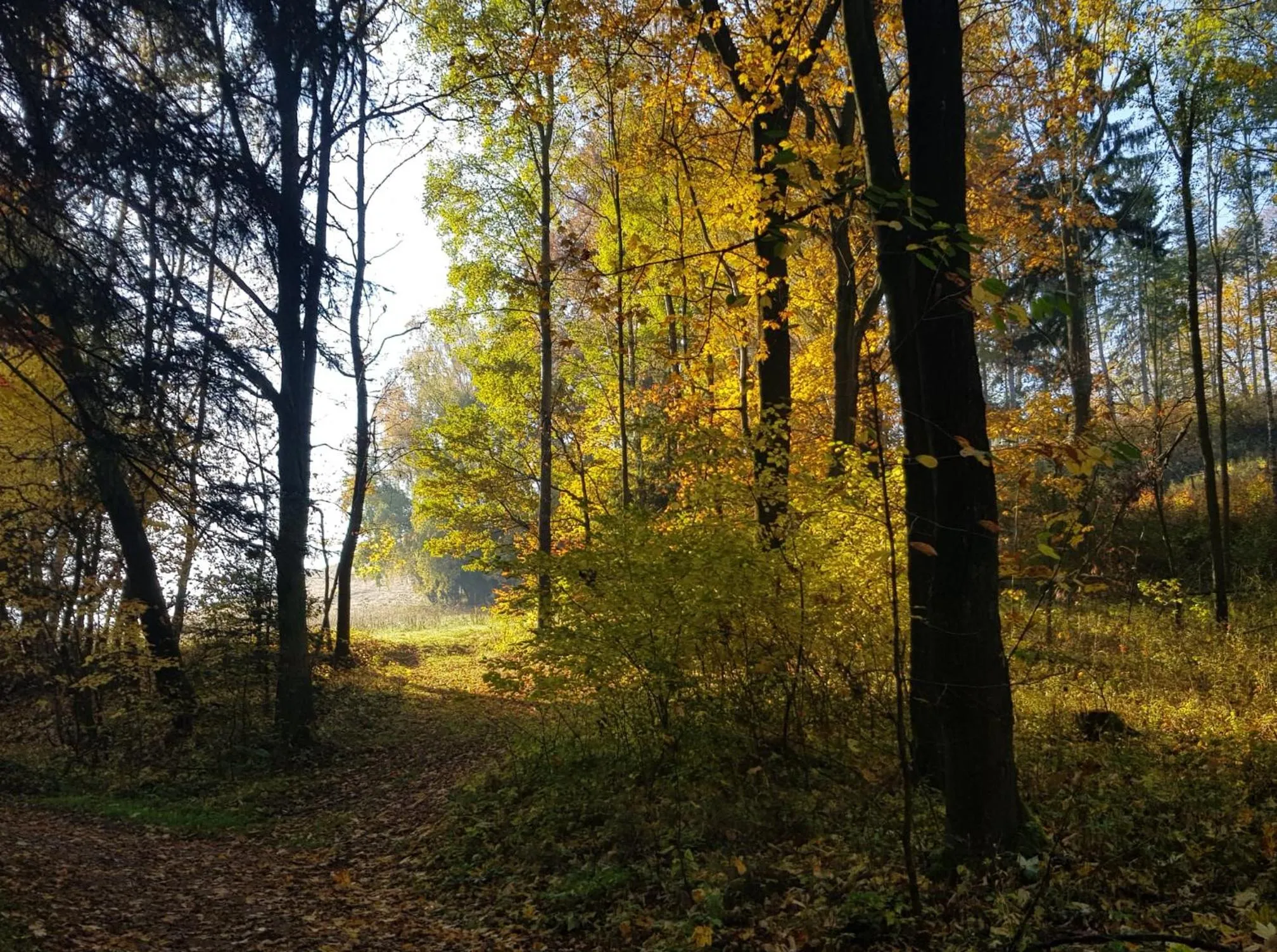 Pokoje Gościnne Art- Dworek