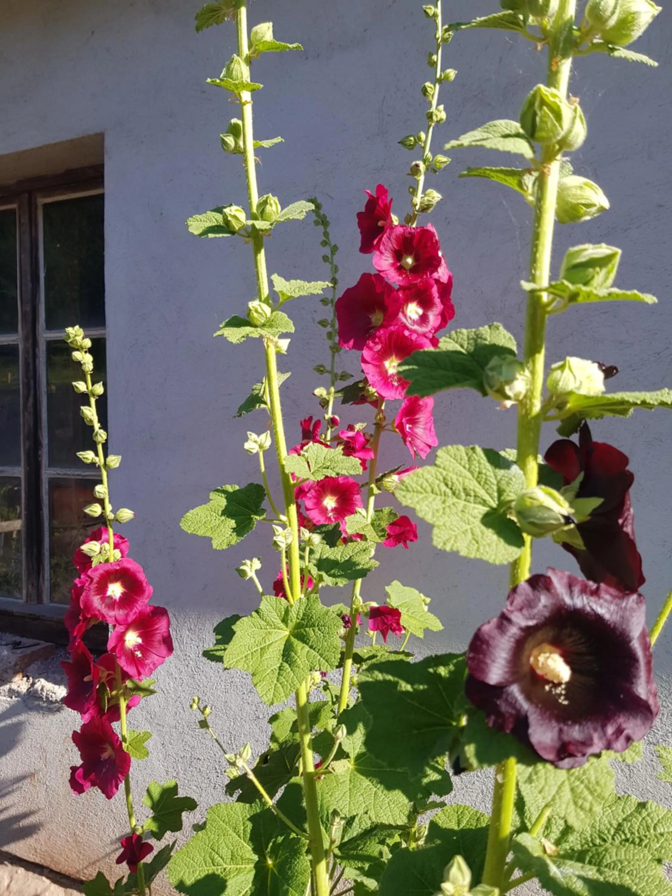 Pokoje Gościnne Art- Dworek