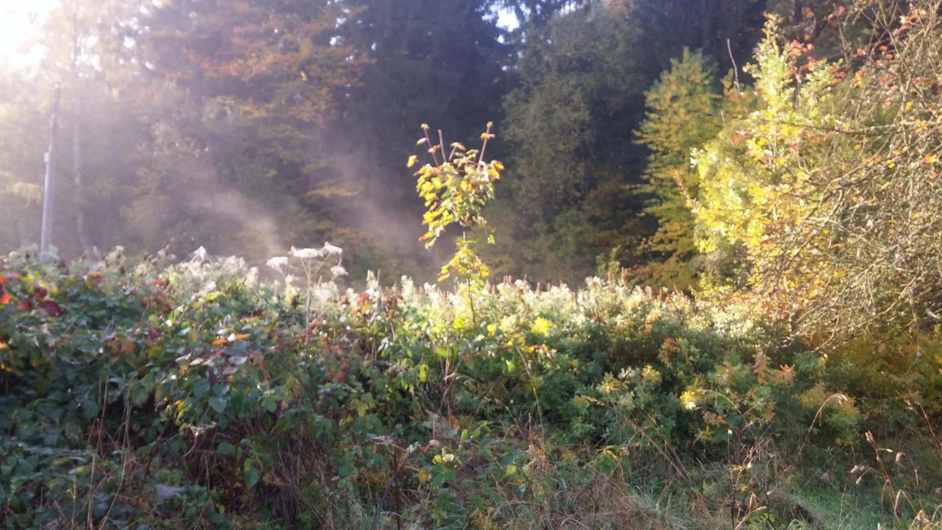 Pokoje Gościnne Art- Dworek