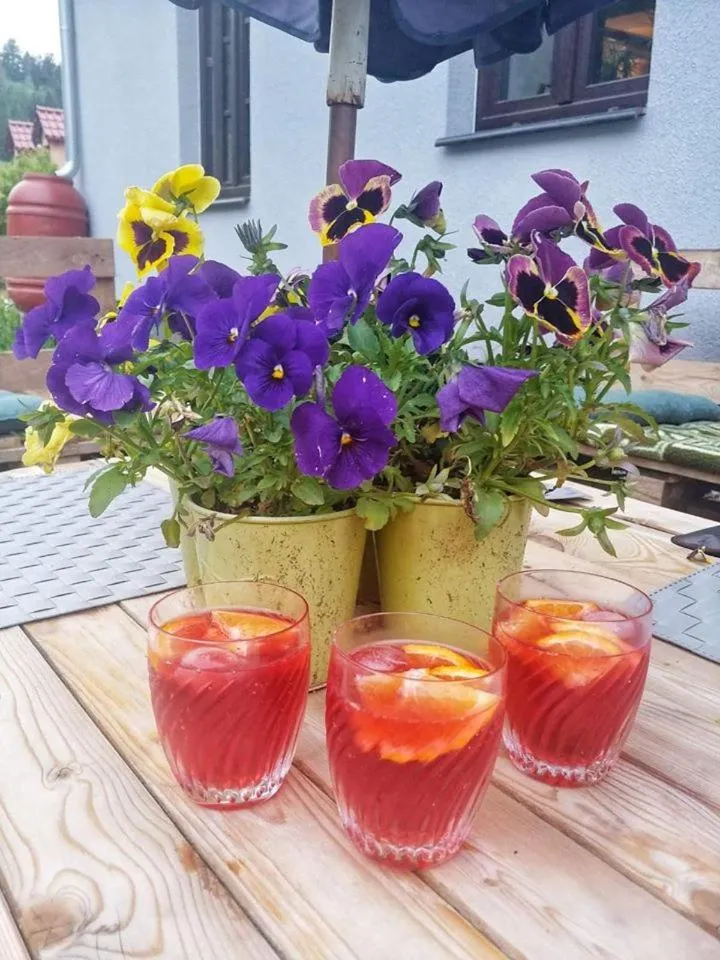 Pokoje Gościnne Art- Dworek