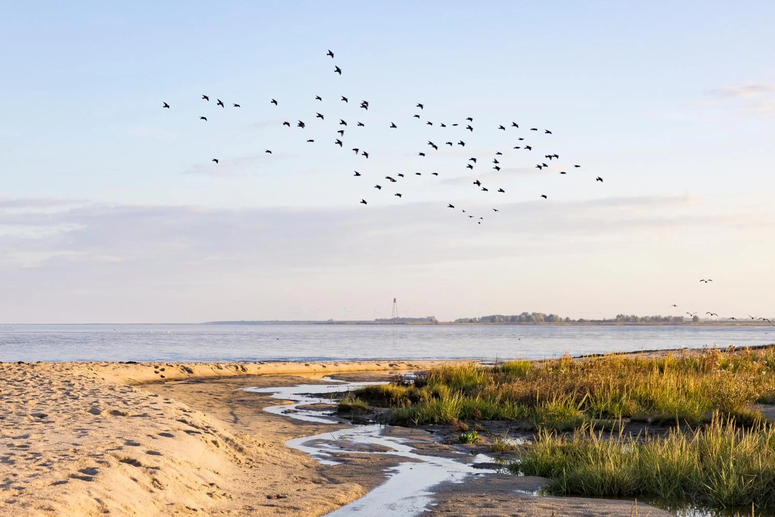 Natural landscape in Hotel DH -Deutsches Haus-