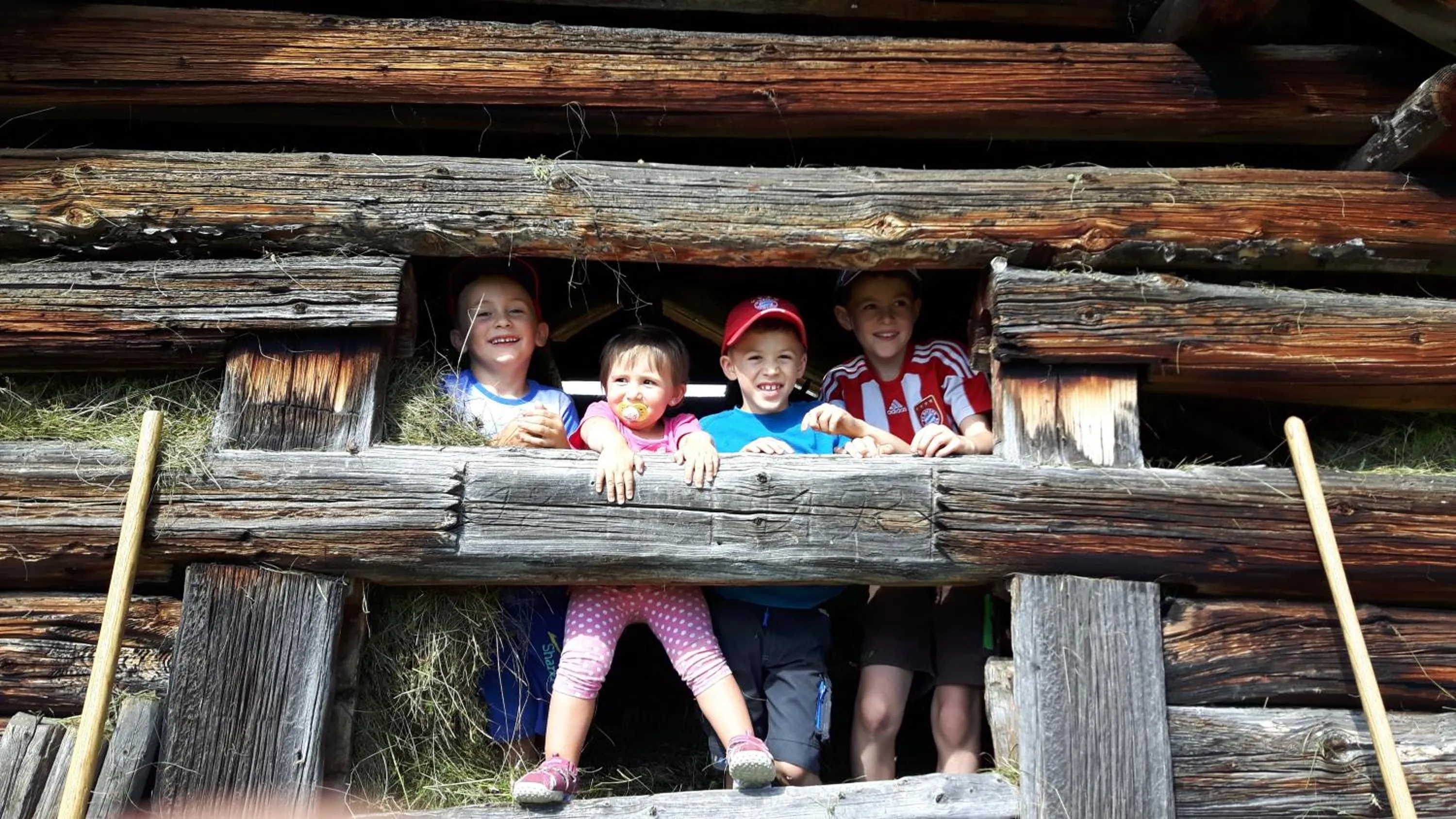 Natural landscape in Alblerhof