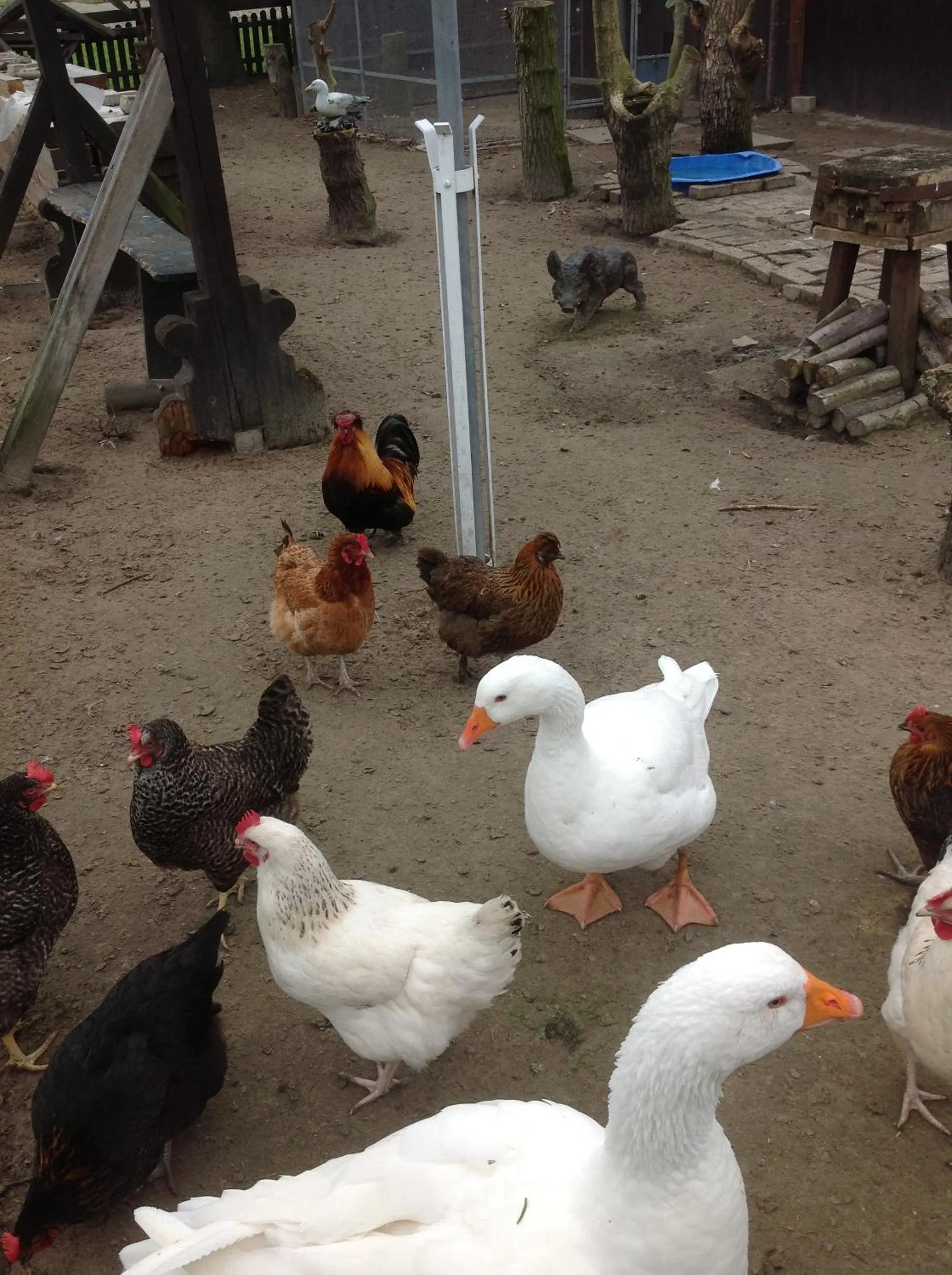 Garden in Familien- und Aparthotel Strandhof
