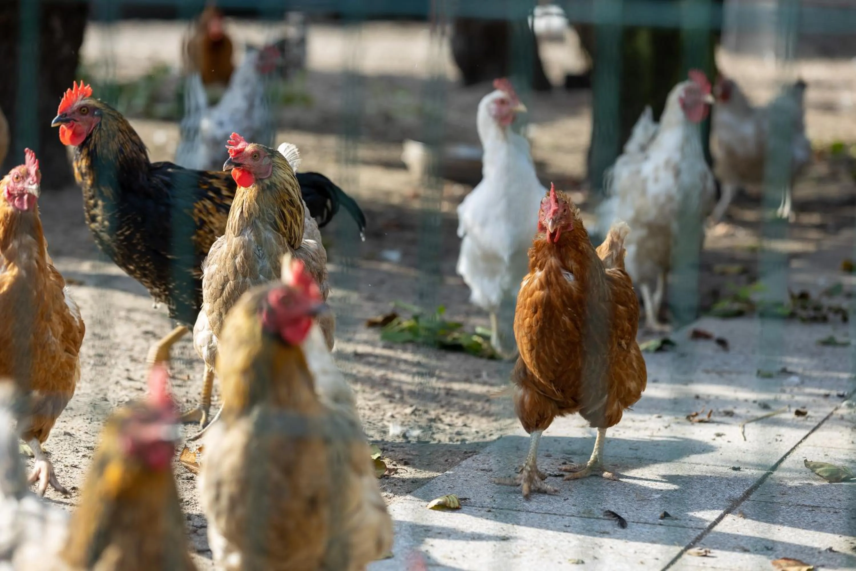 Familien- und Aparthotel Strandhof