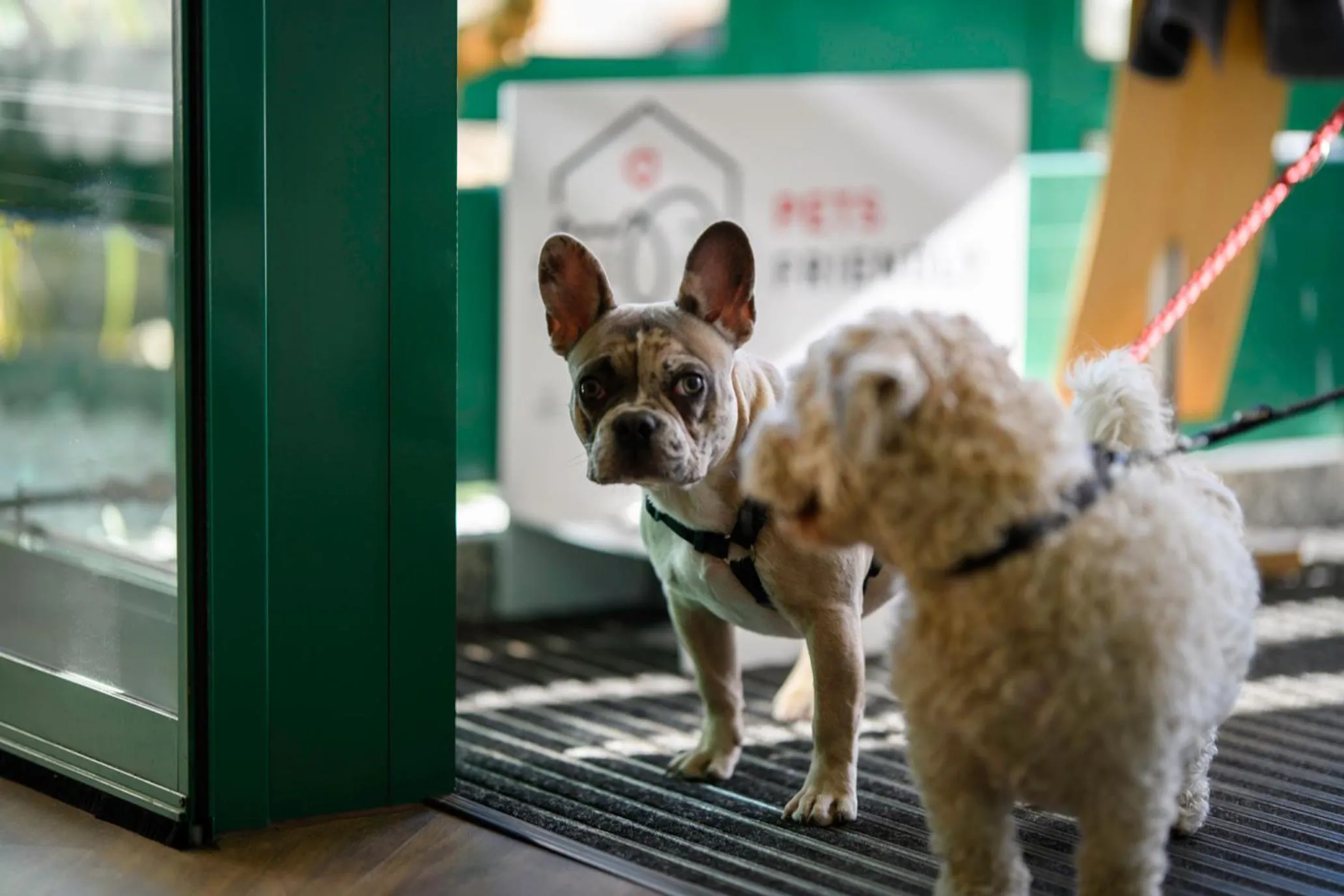 Property building in Ambiente Langenhagen Hannover by Tulip Inn