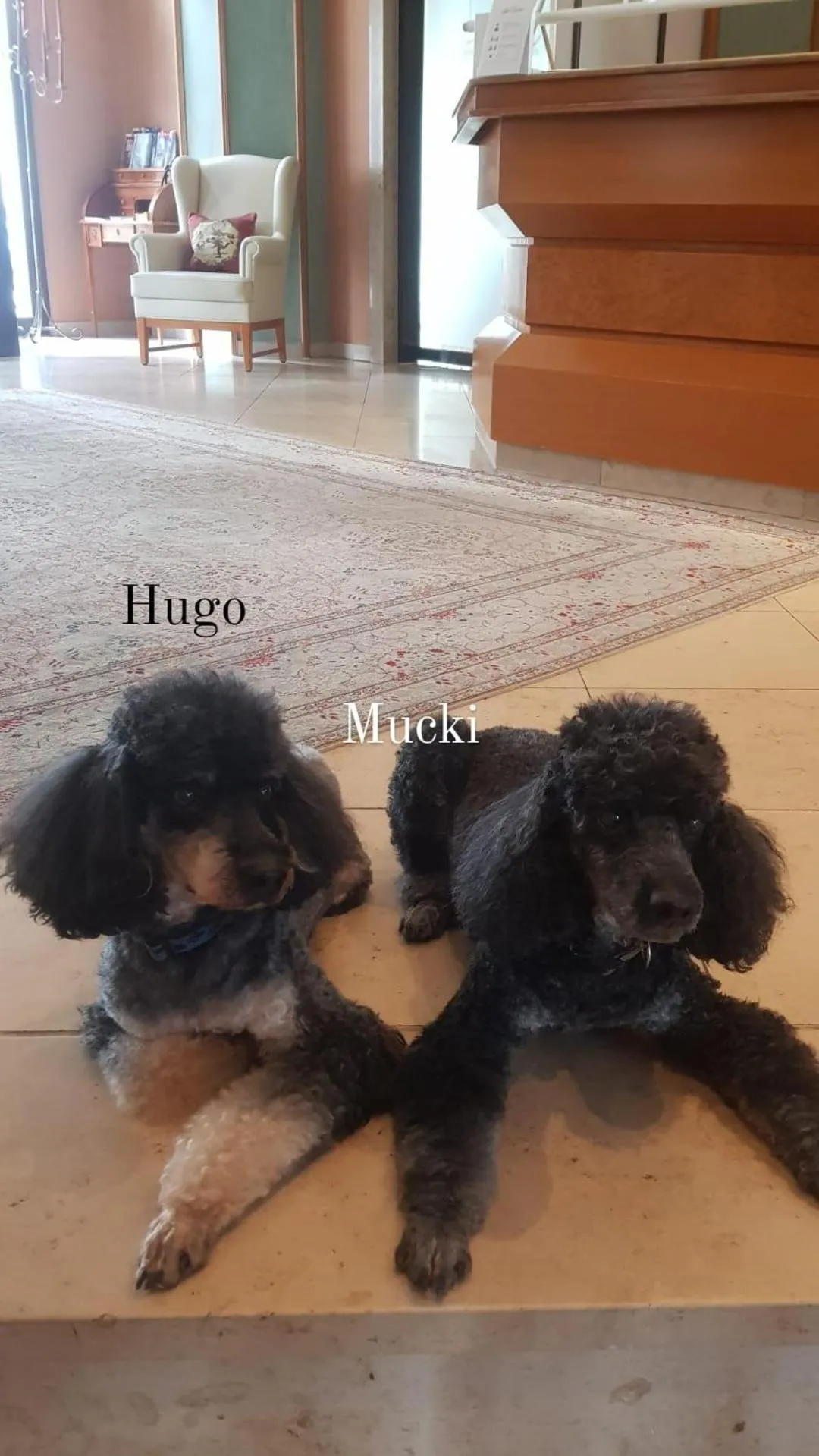 Lobby or reception in Hotel Cristal