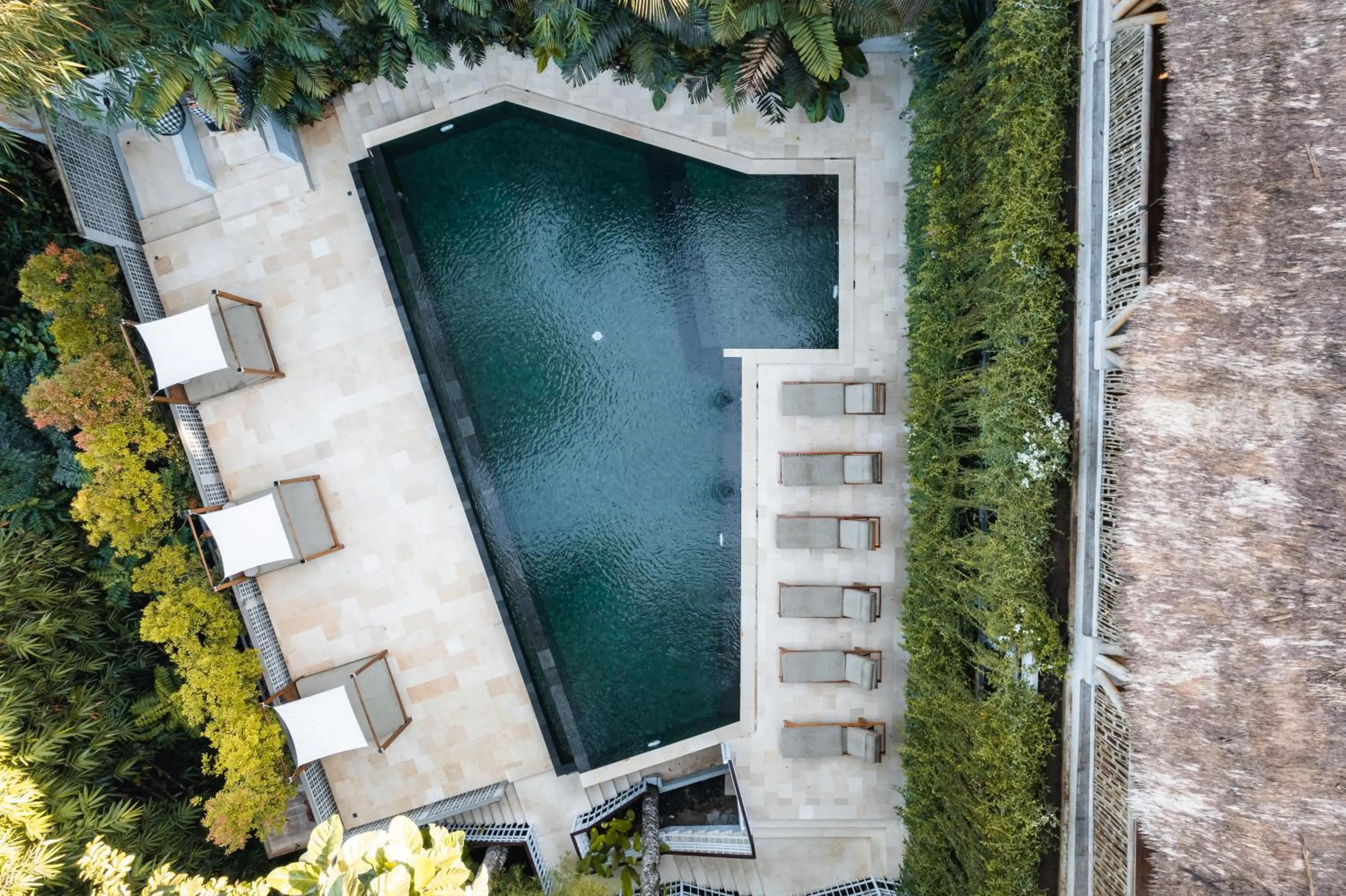 Swimming pool in Dinara Ubud