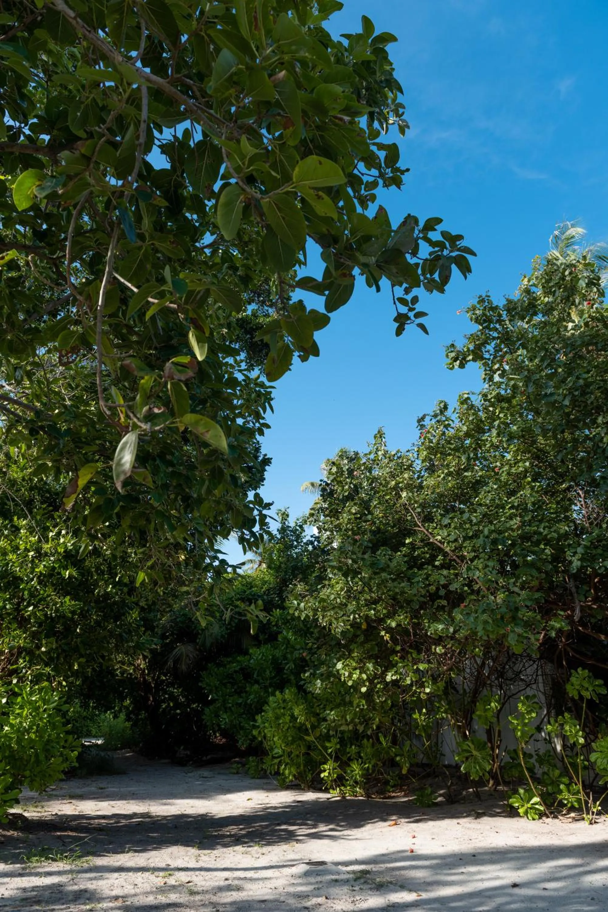 Other in Mi Lugar Maldives