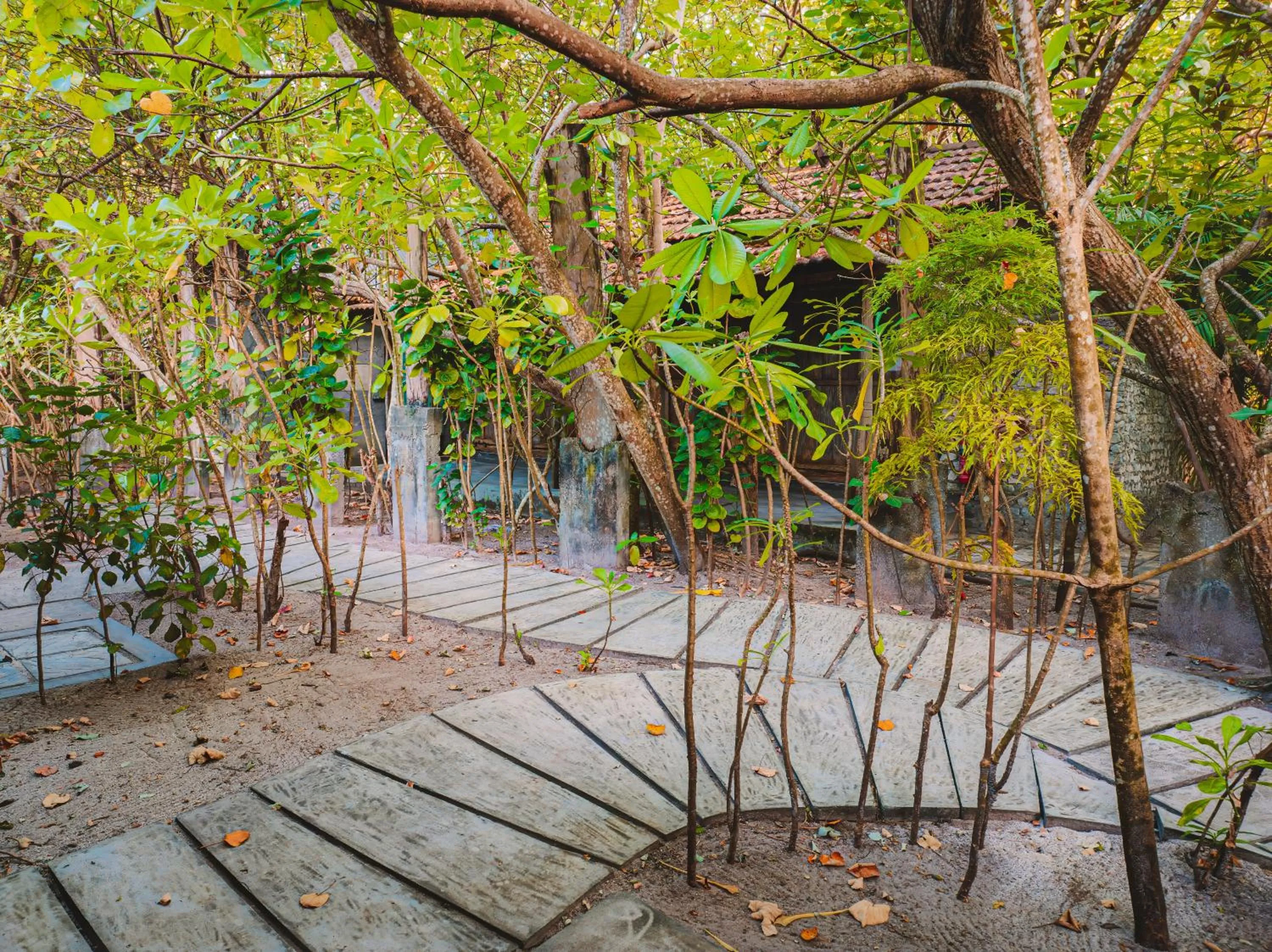 Day in Mi Lugar Maldives