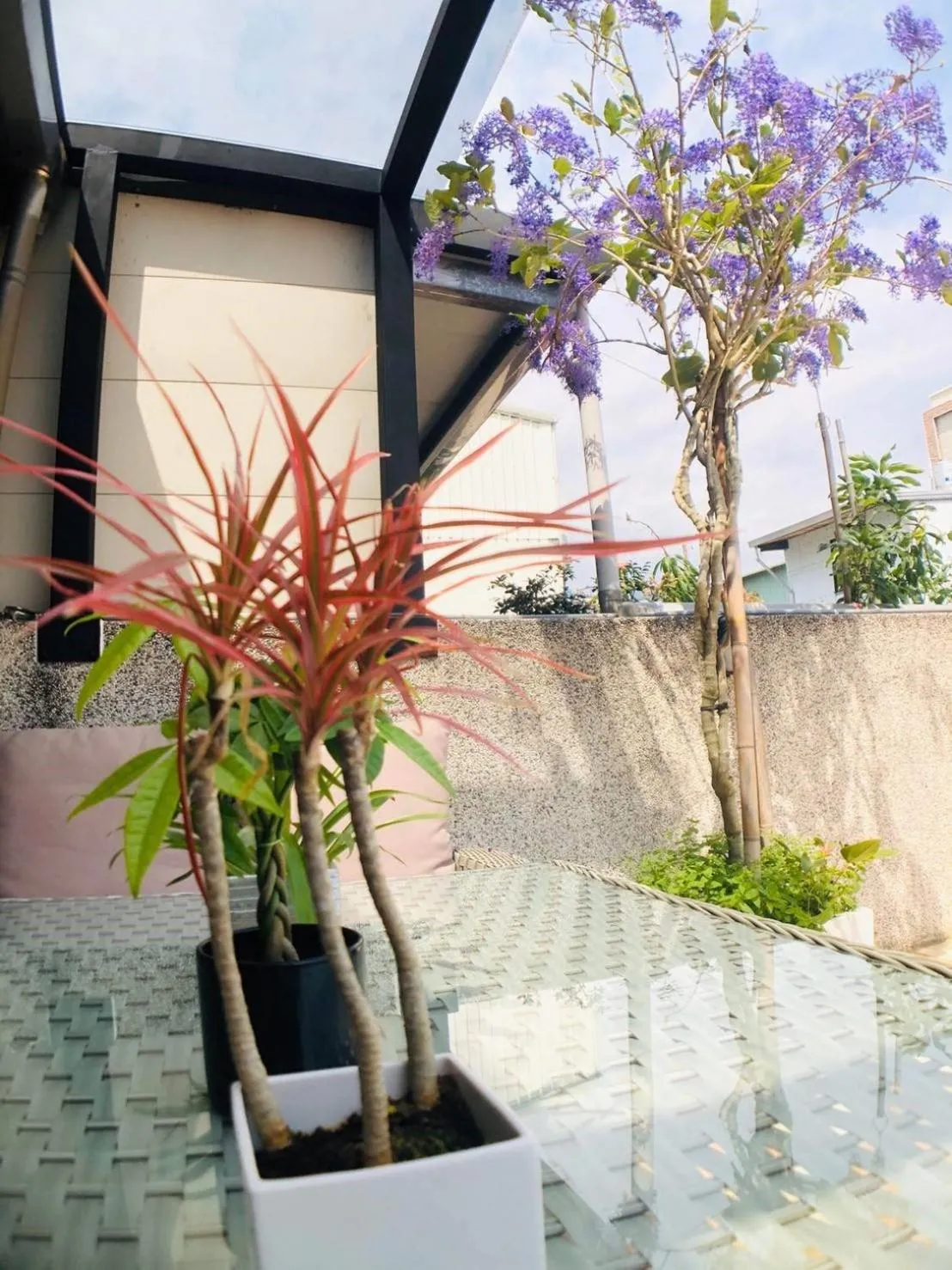 Patio in 910 Hostel (Chengdong)