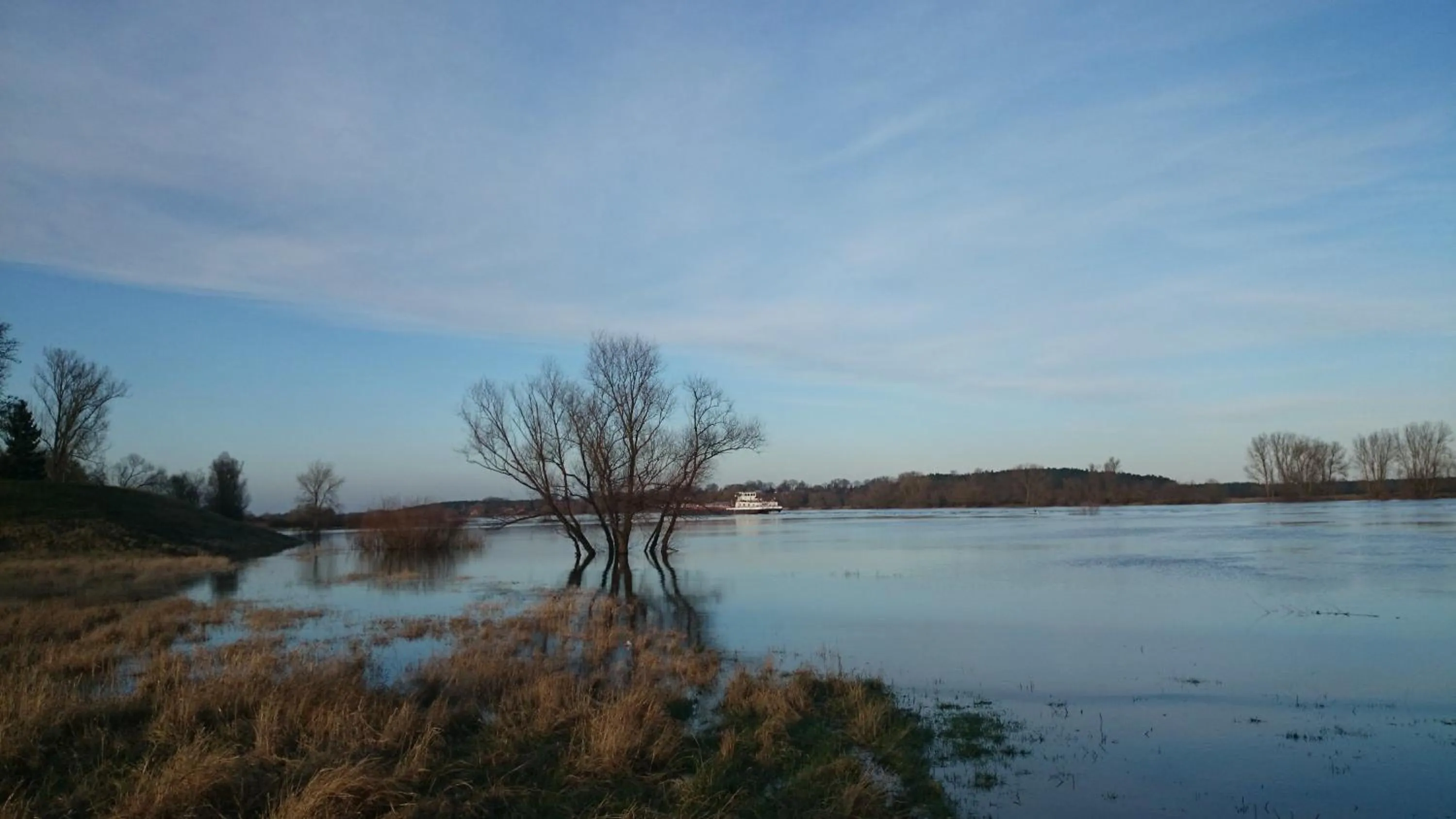 Natural landscape in Hotel Steinhagen