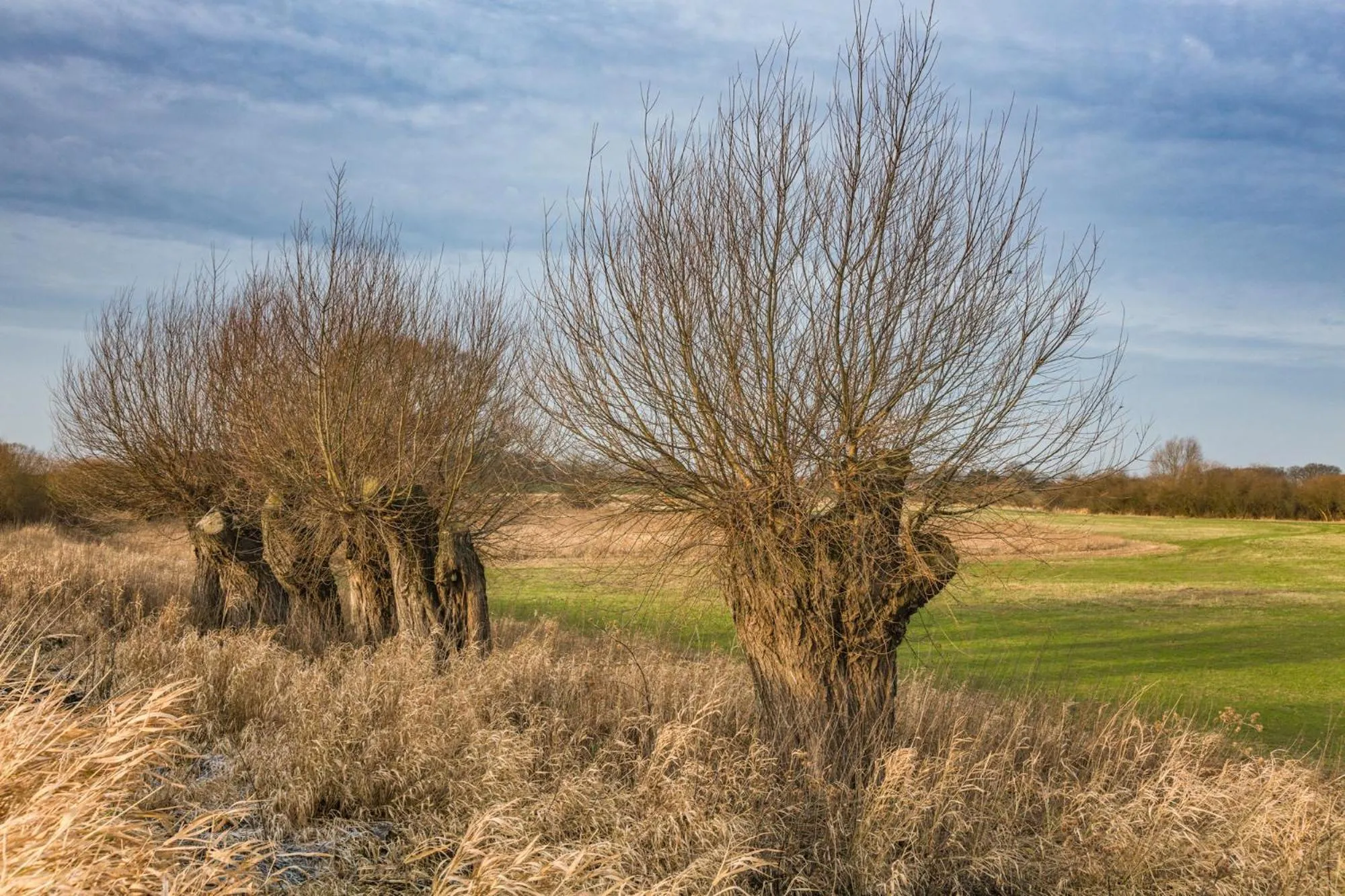Natural landscape in Hotel Steinhagen