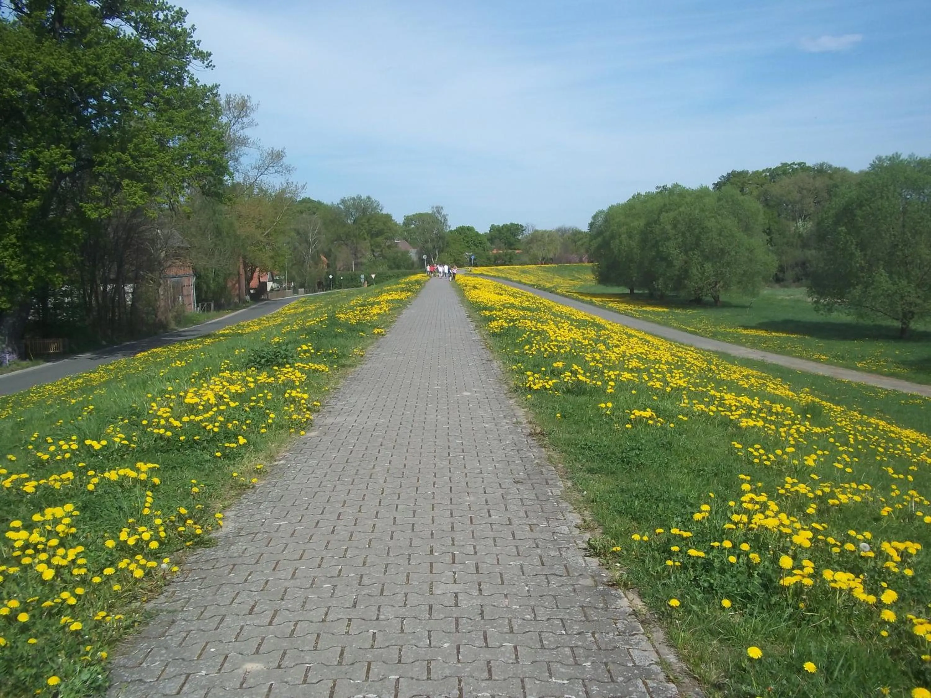 Cycling in Hotel Steinhagen