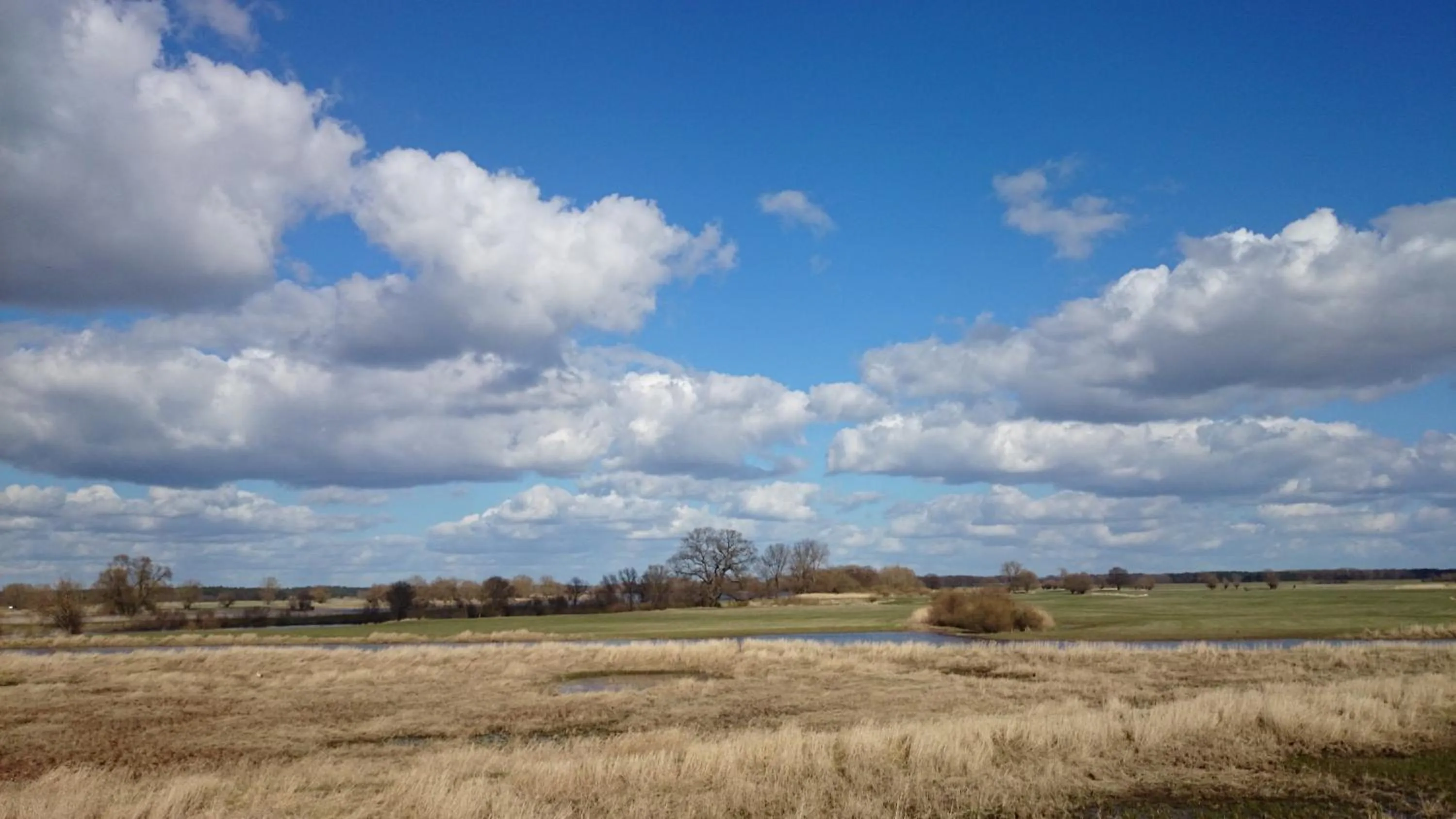 Natural landscape in Hotel Steinhagen