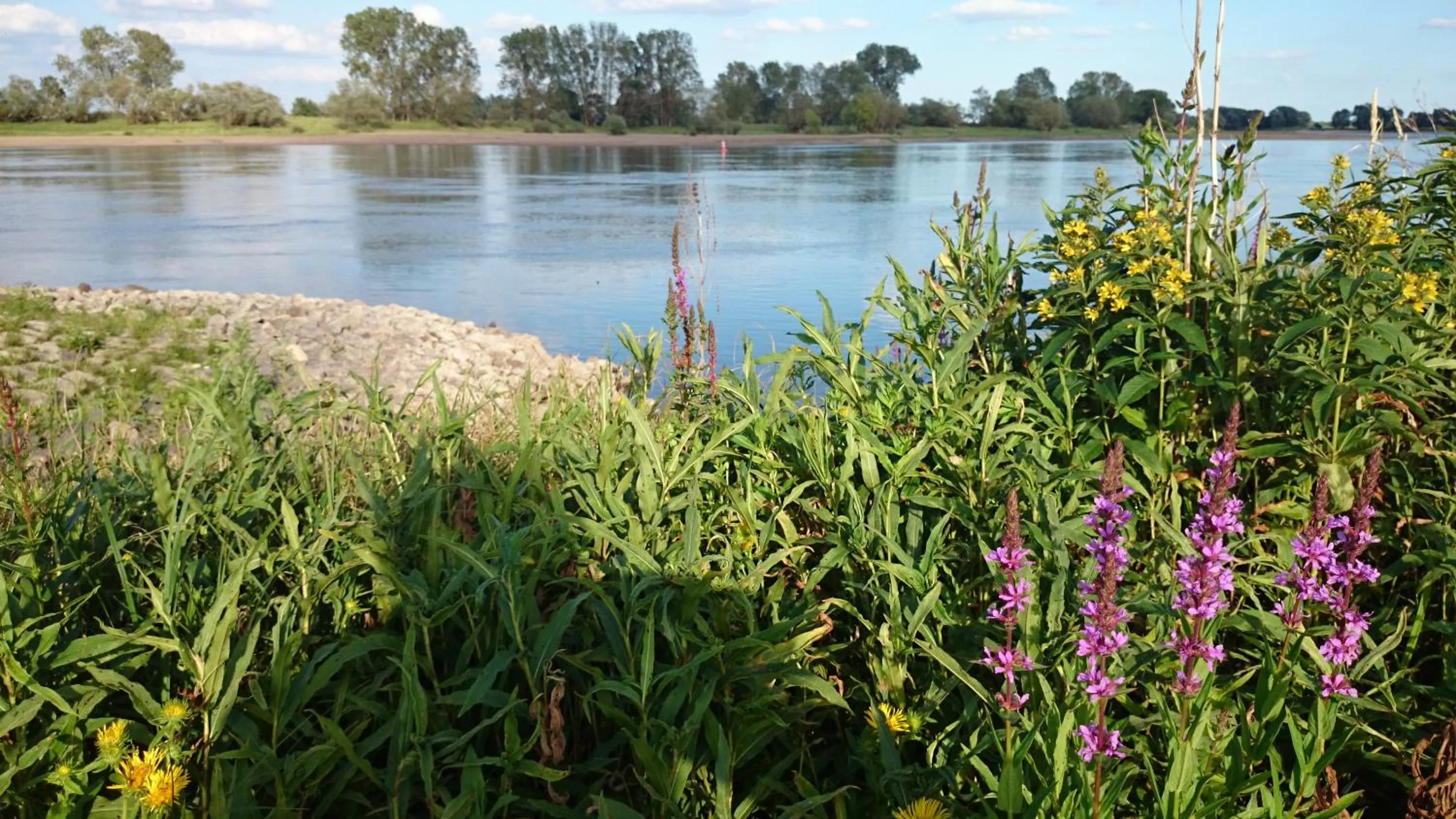 Natural landscape in Hotel Steinhagen