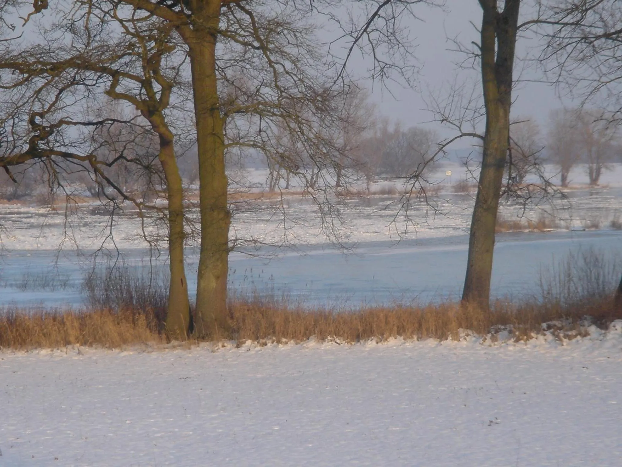 Natural landscape in Hotel Steinhagen