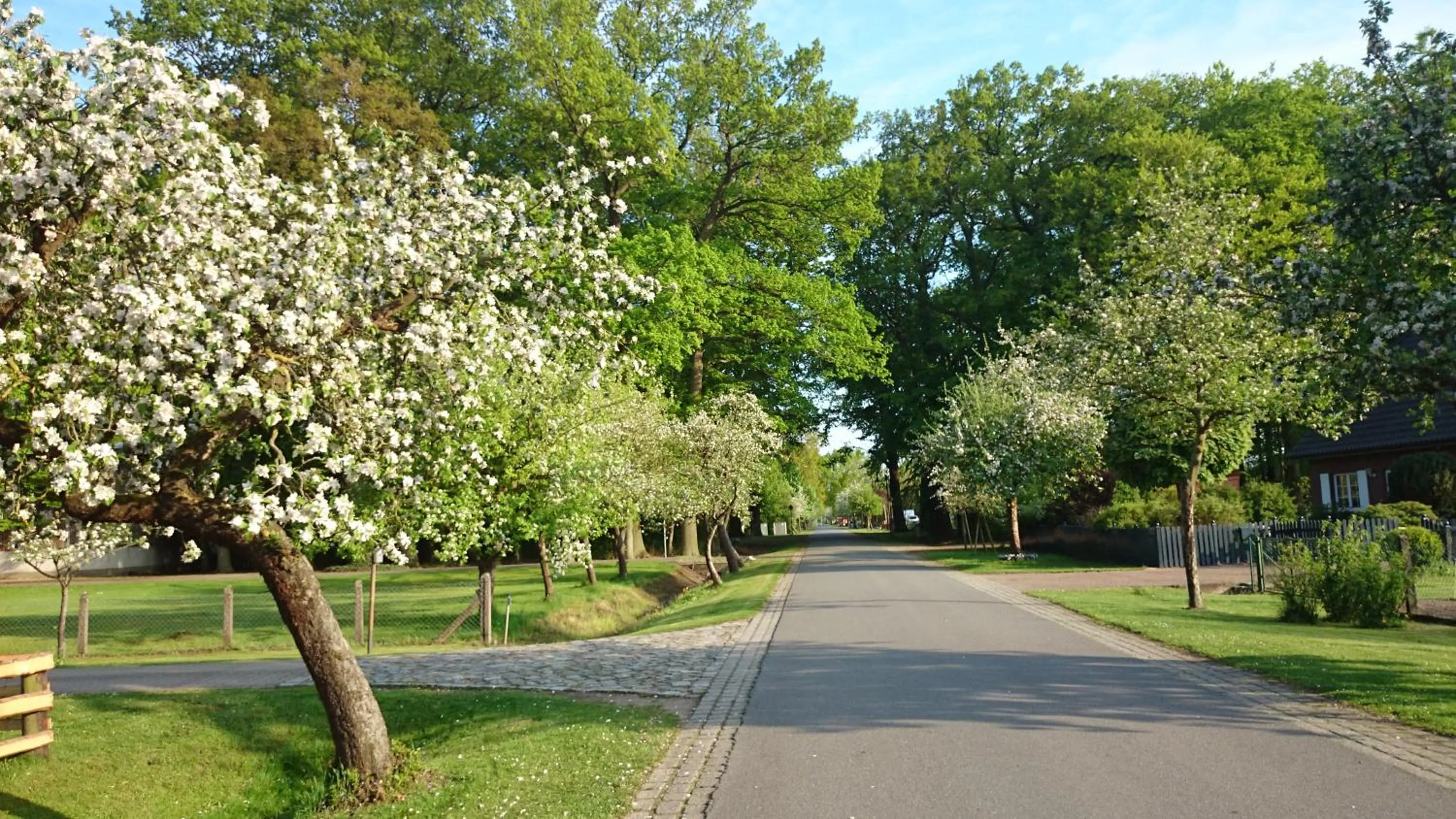 Staff in Hotel Steinhagen