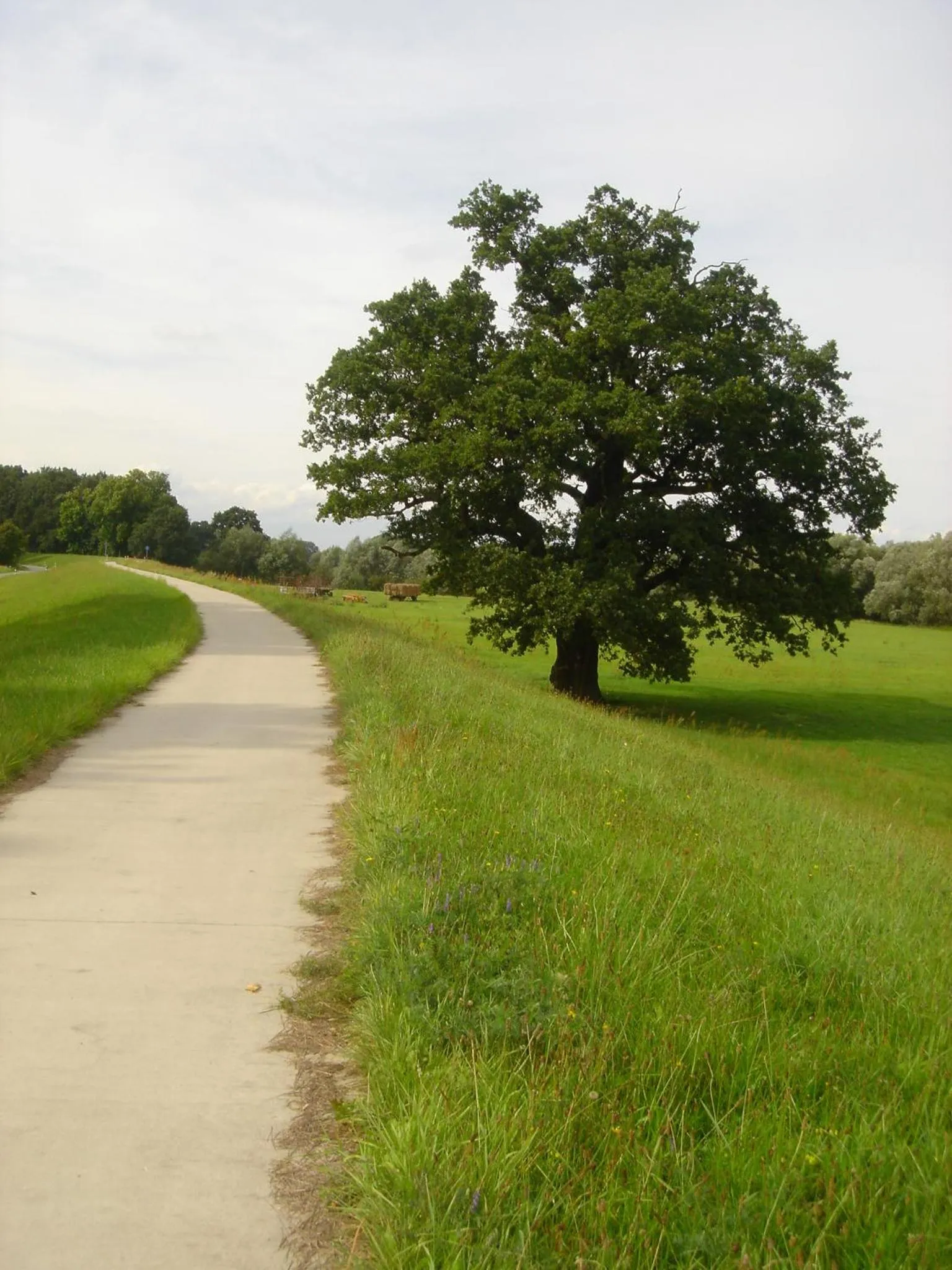 Cycling in Hotel Steinhagen