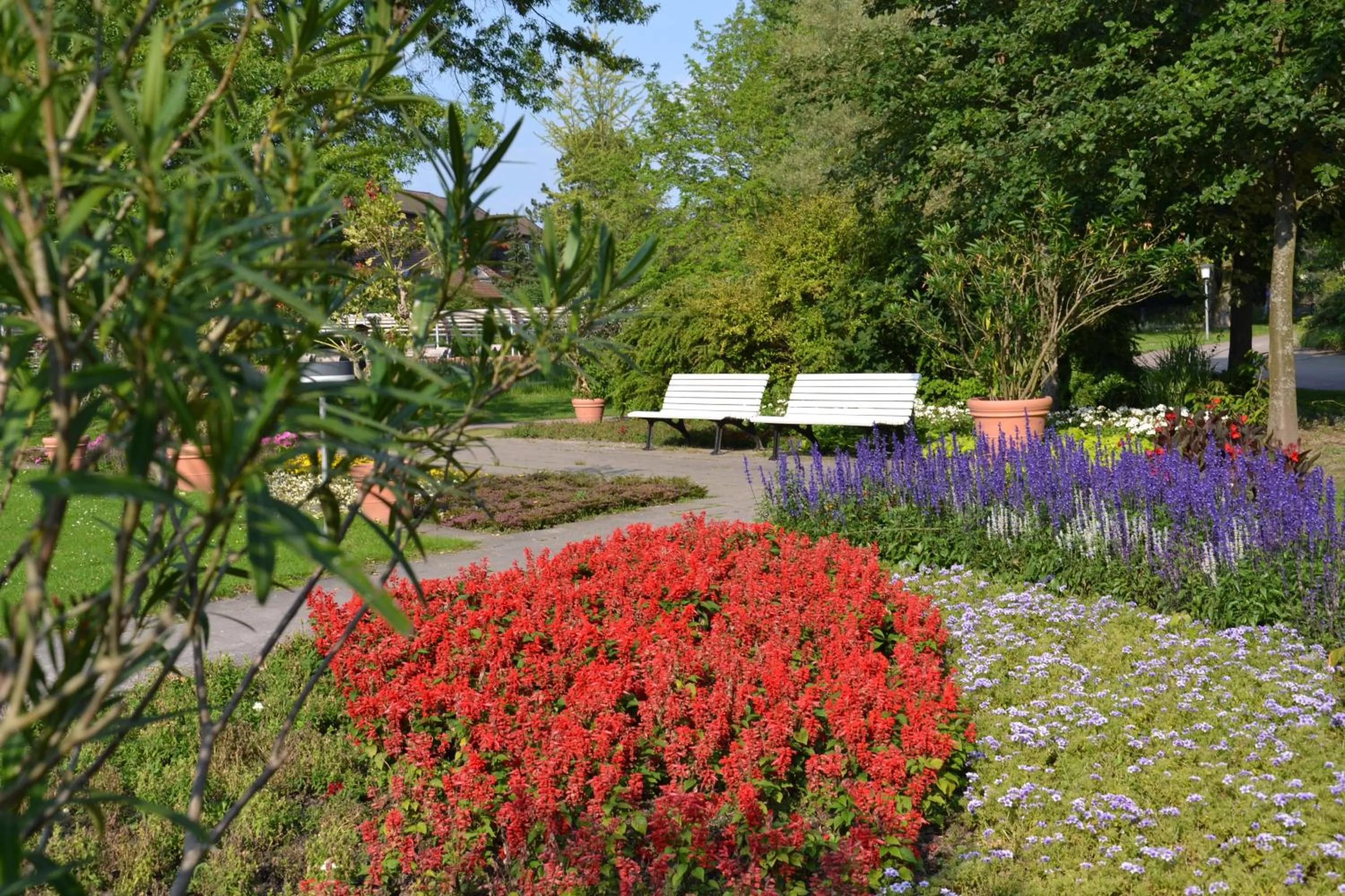 Natural landscape in Heidehotel Bad Bevensen