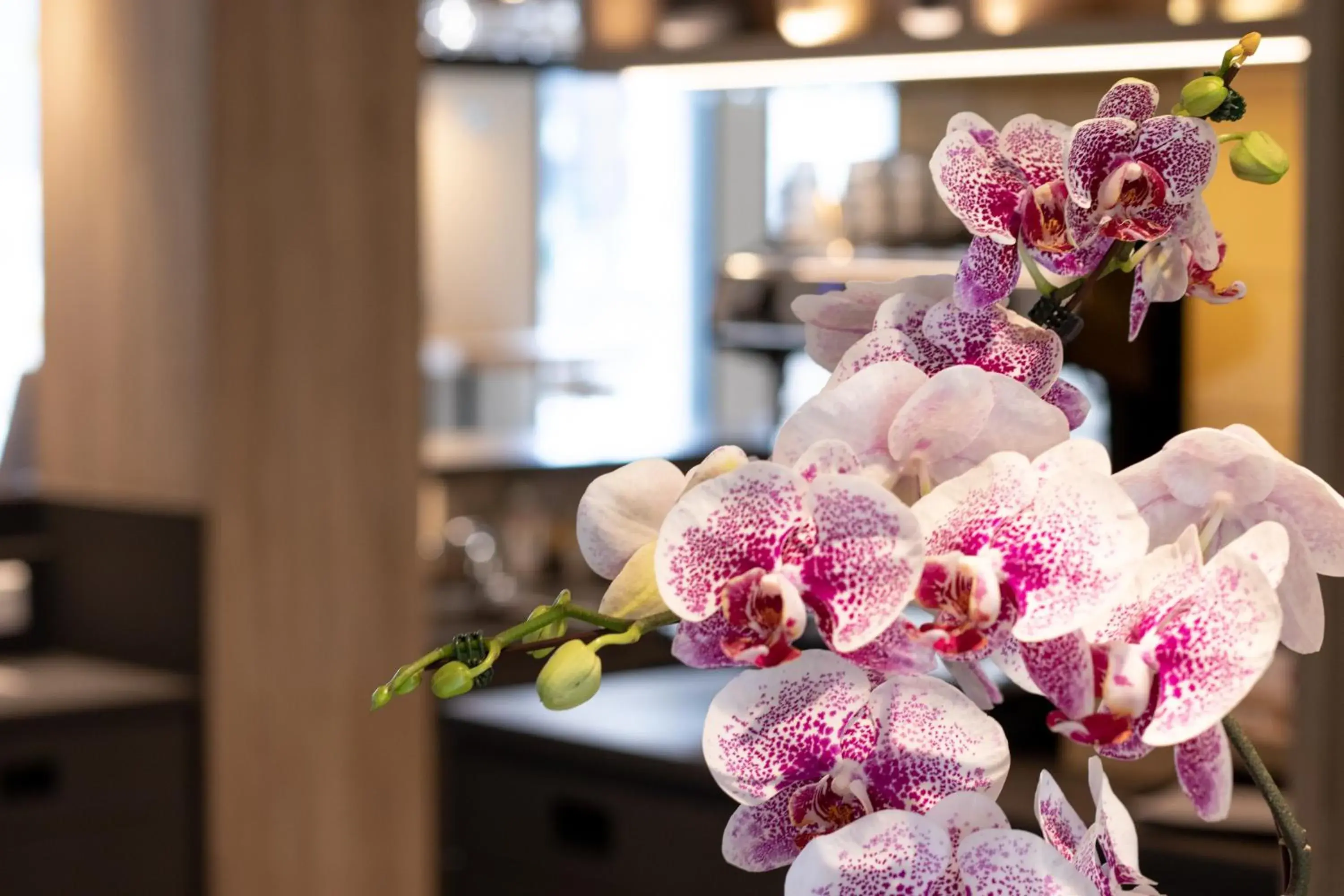 Lobby or reception in Campanile PRIME - Rungis Orly Lobby or reception in Campanile PRIME - Rungis Orly