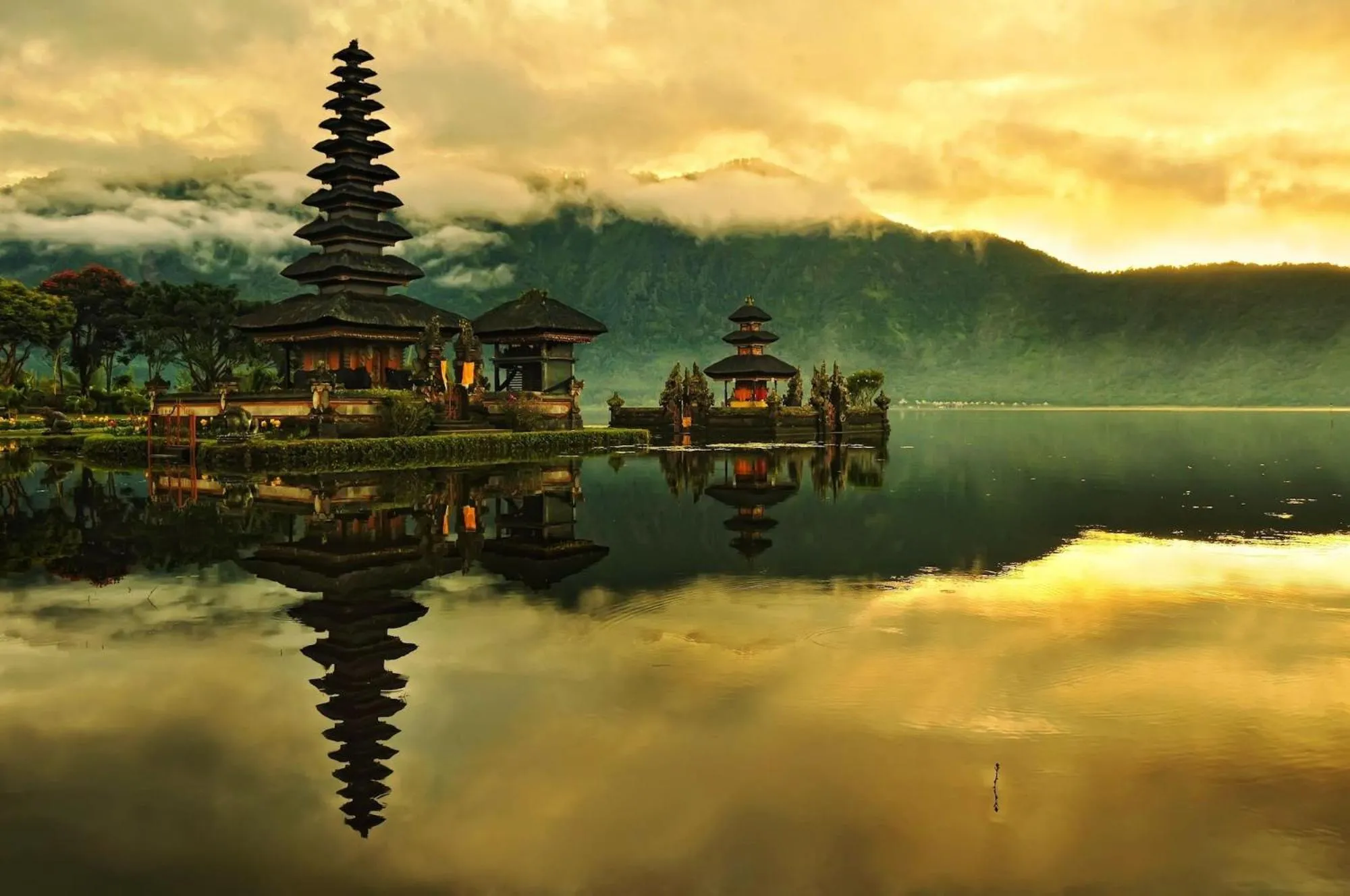 Natural landscape in Villa Kaira Estate by Villas Direct Bali