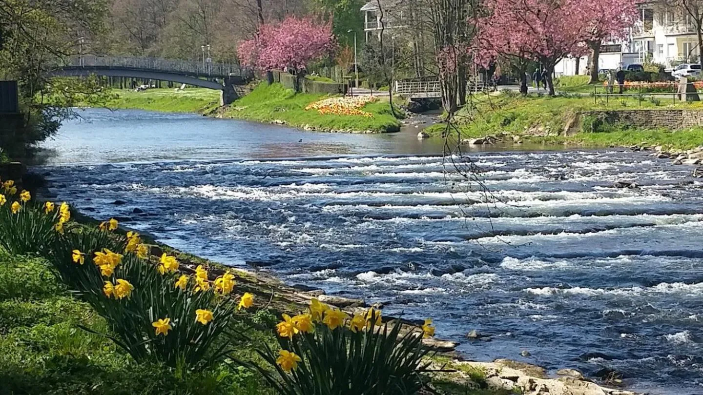 Other in Hotel Ahrbella