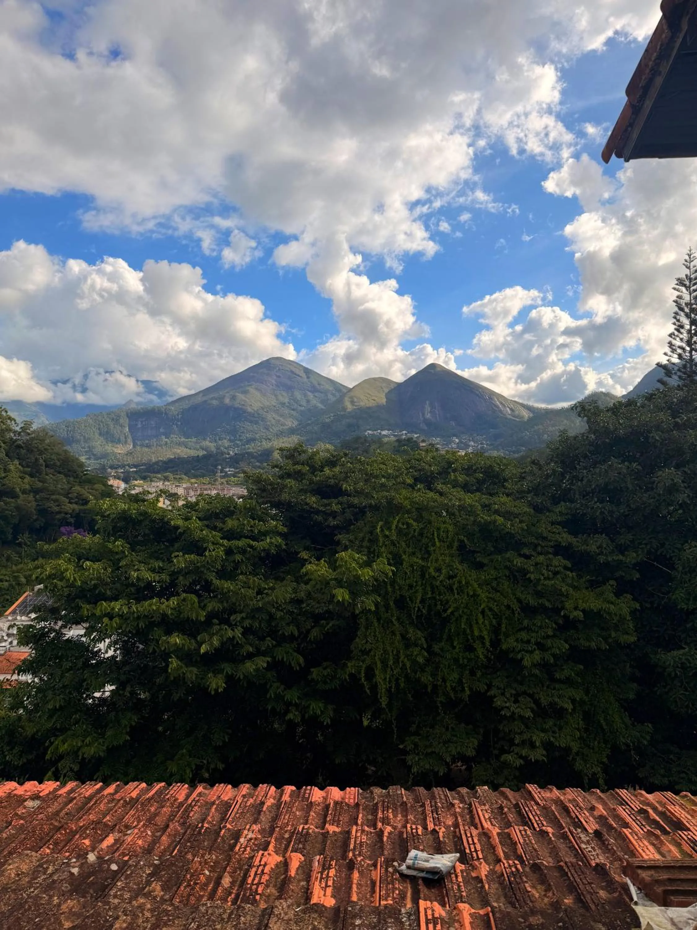 HOTEL MONTANAS