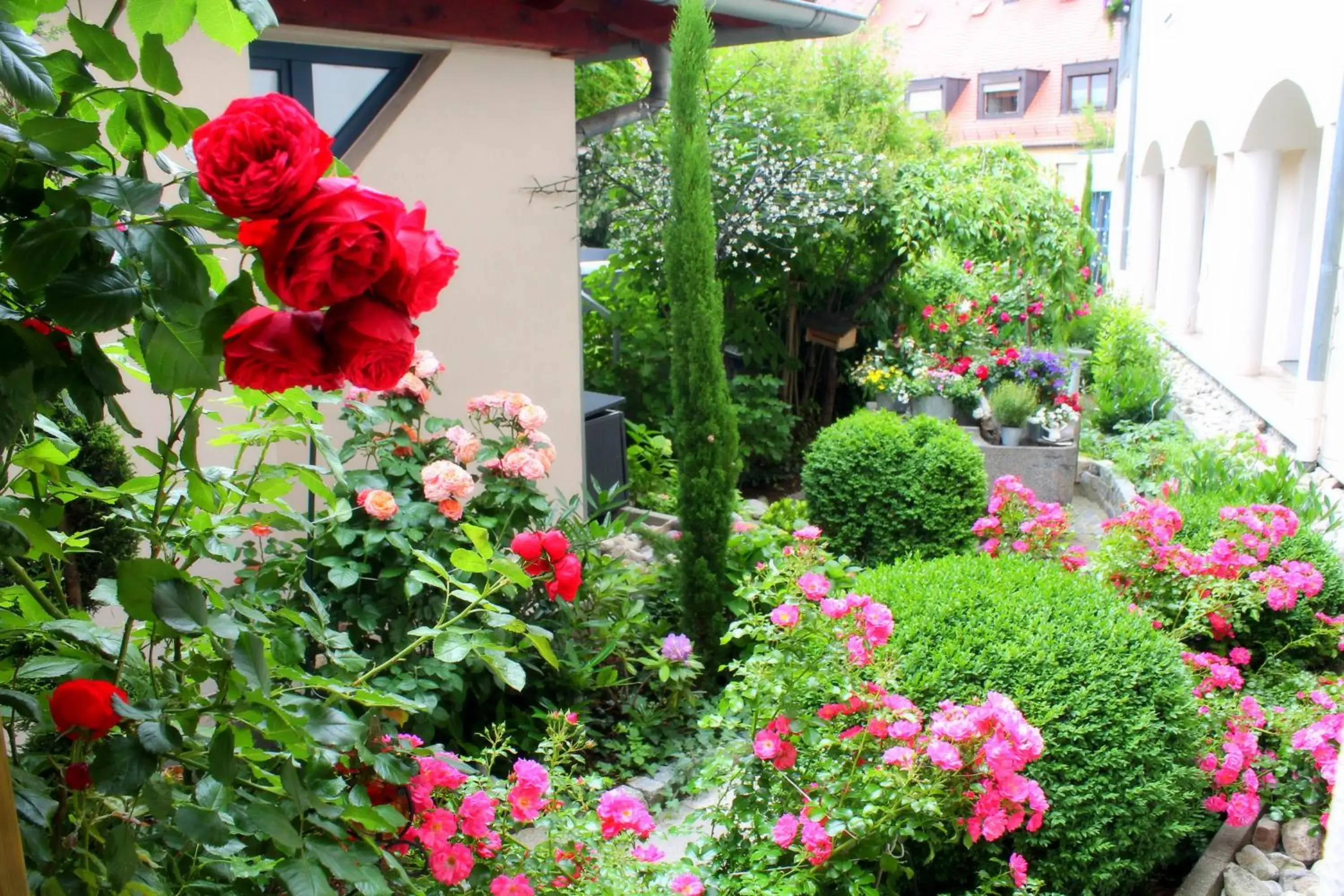 Garden in Durer-Hotel